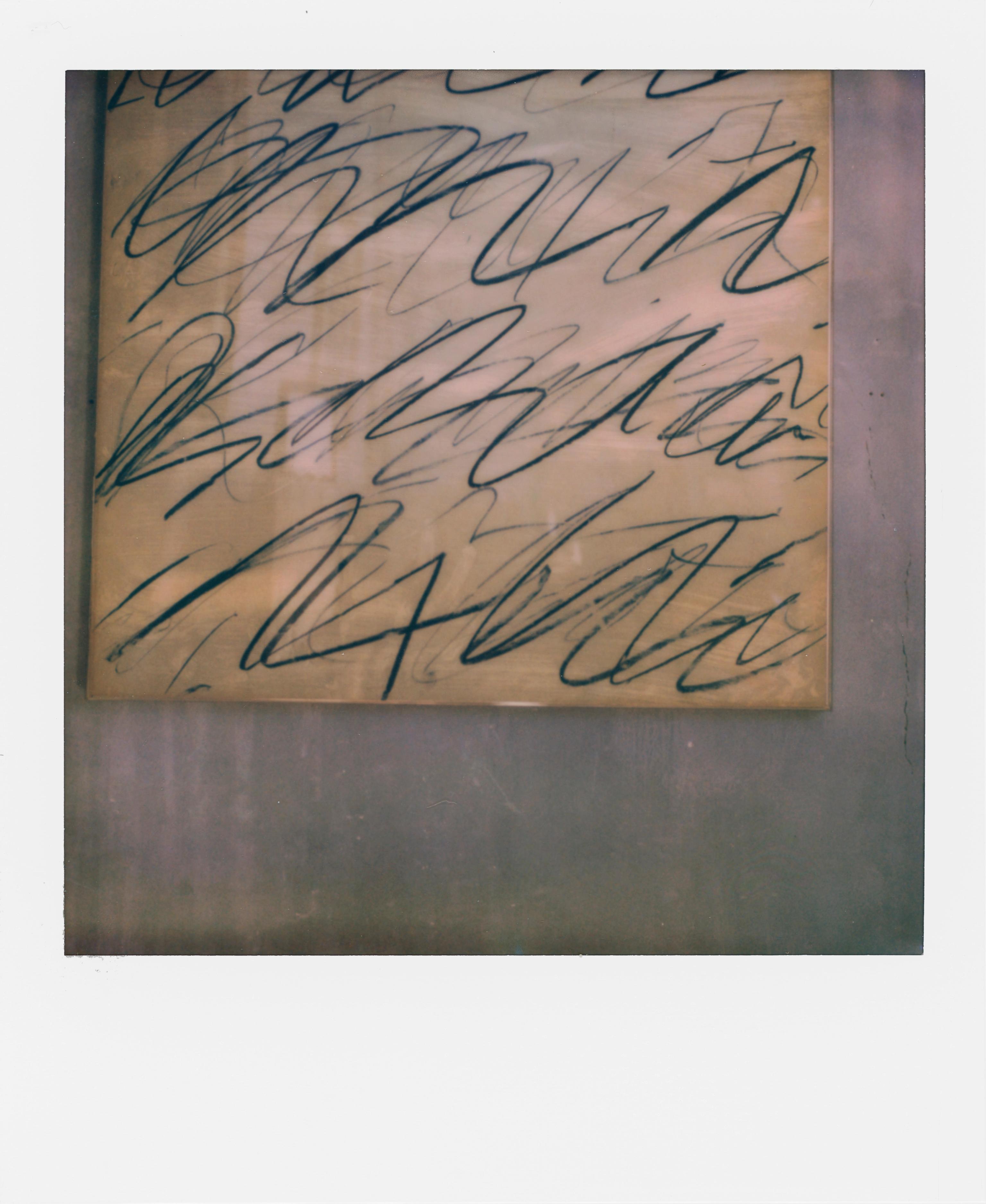 image-ea34cb870b95703fcd343407372d30c327ded7a9-6850x8362-jpg