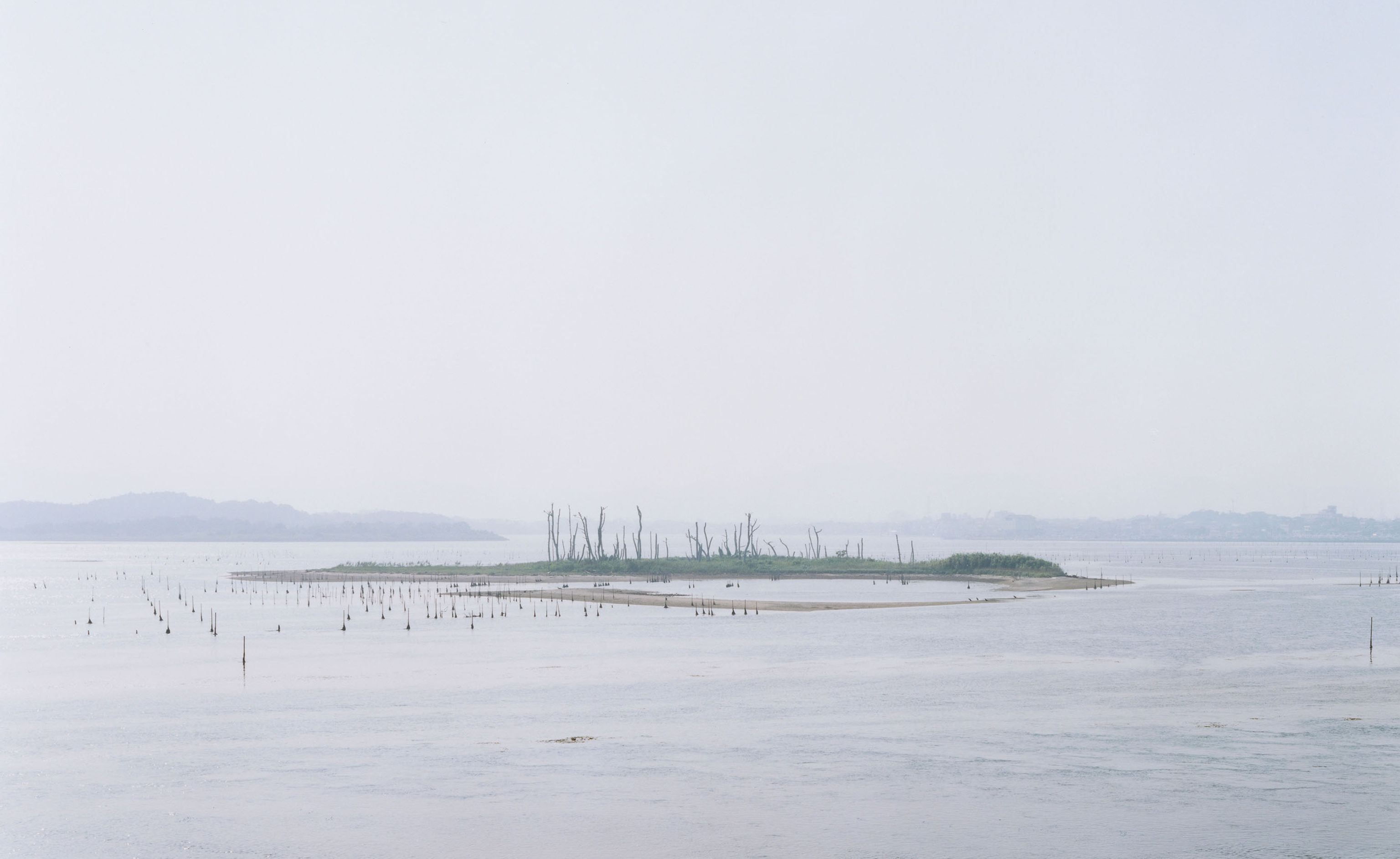 image-ea5db67f316d4869e848071eb173a964de3c2555-2756x2353-jpg