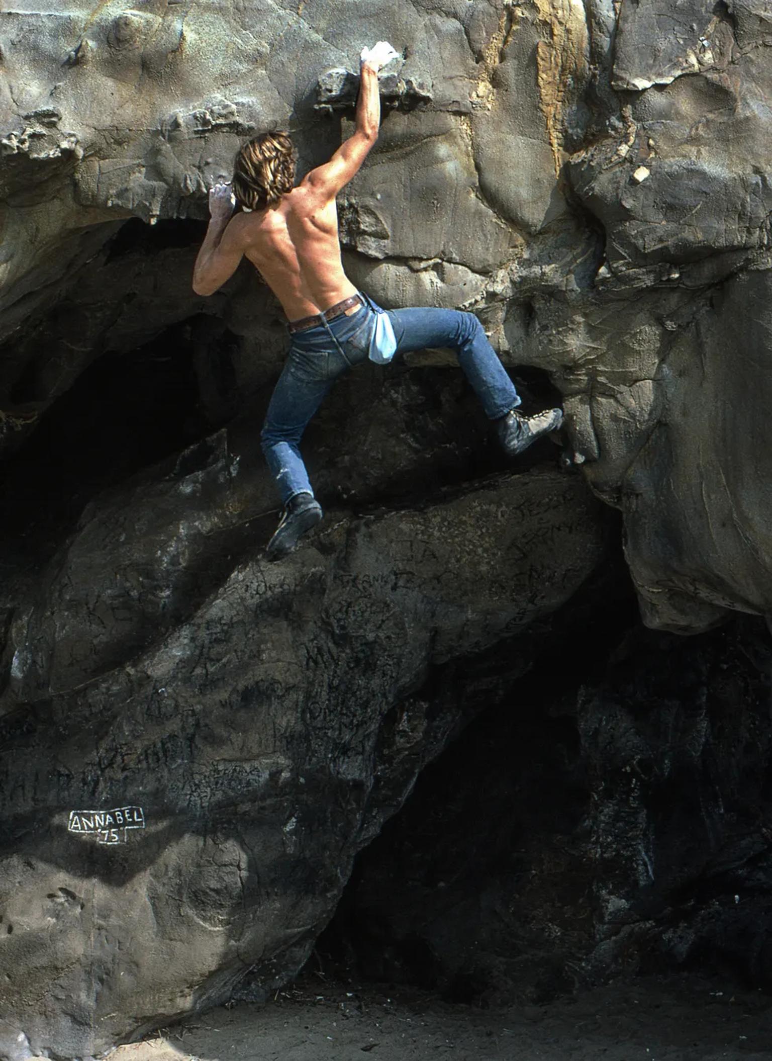 image-ecea69a4ea1fb6b96036983f37cadc327b1fabb2-980x1346-webp