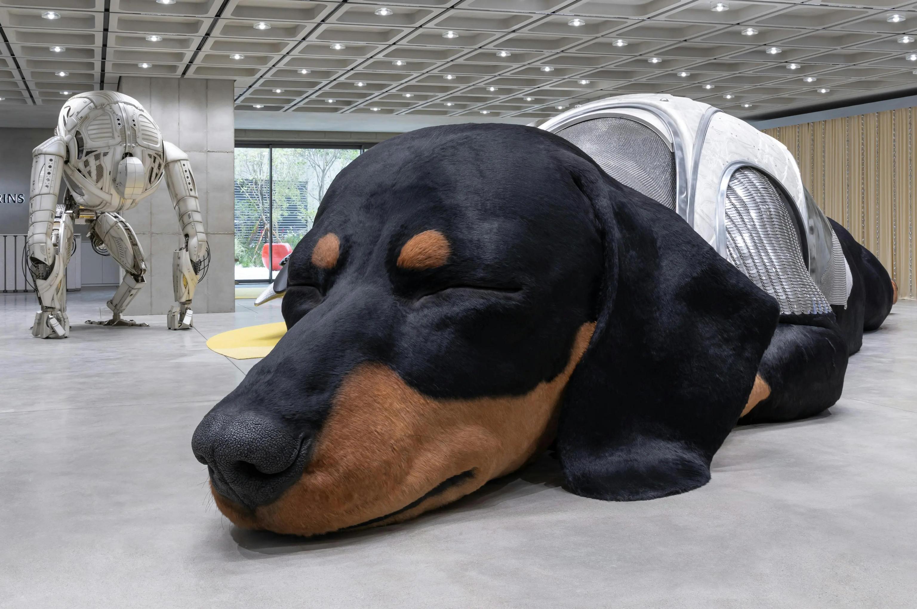 image-ed125d4825de4f95475aad83b5f08e761f57a035-3840x2552-webp