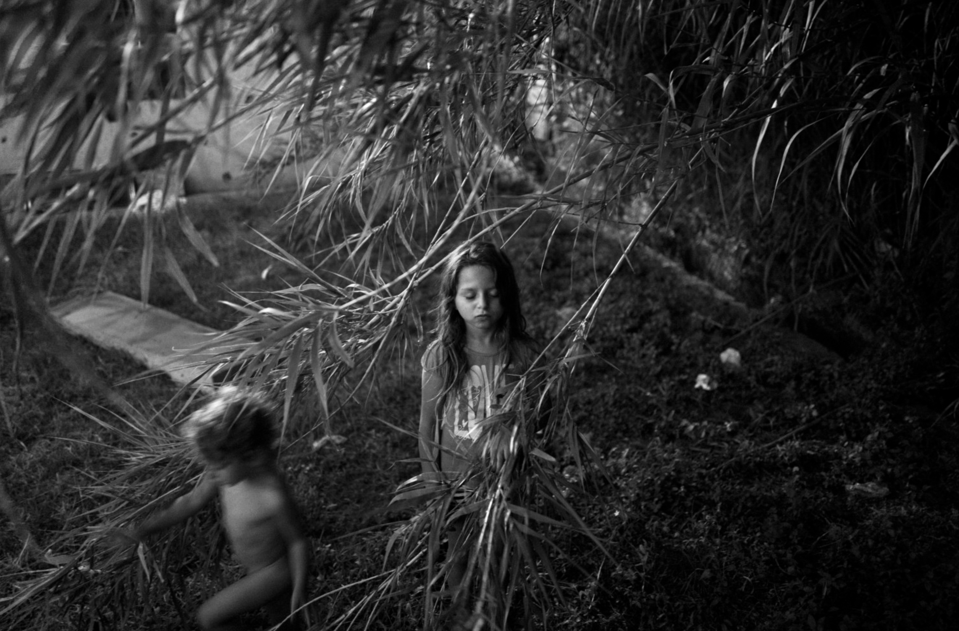 image-ef002c50cab99fc9ef5b7e529d932fe5373d8824-2478x1630-png