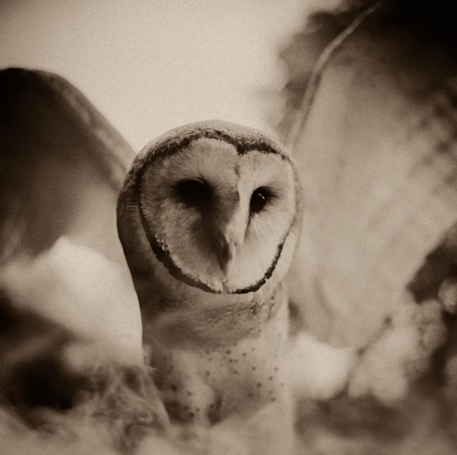 image-f1cdde2ca06bbbe31bb9cac8d8a07ae8cf53374e-900x897-webp