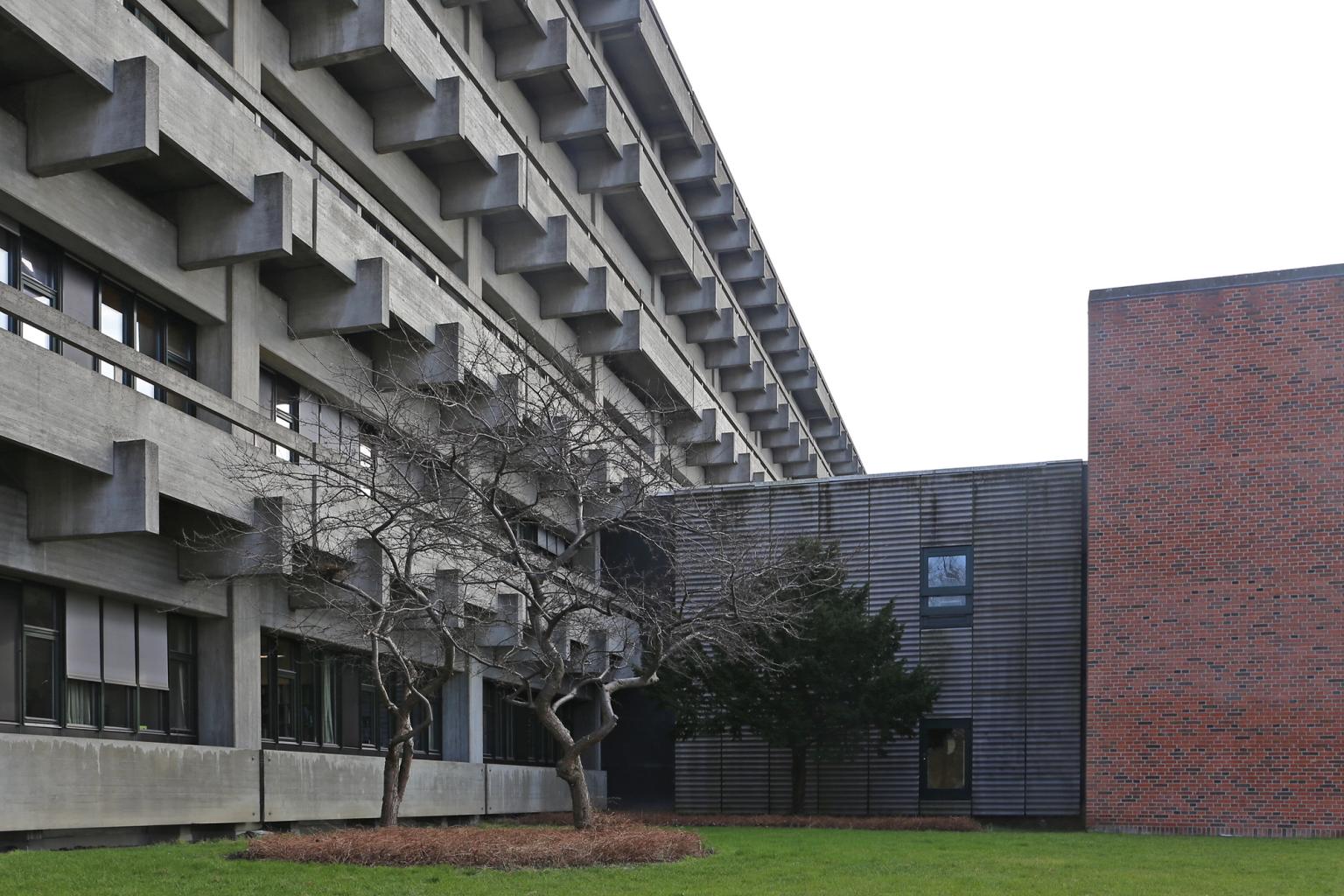 image-f3068d7f8c34d1a66dac3d7f94089b558b3cf48f-3605x2404-jpg