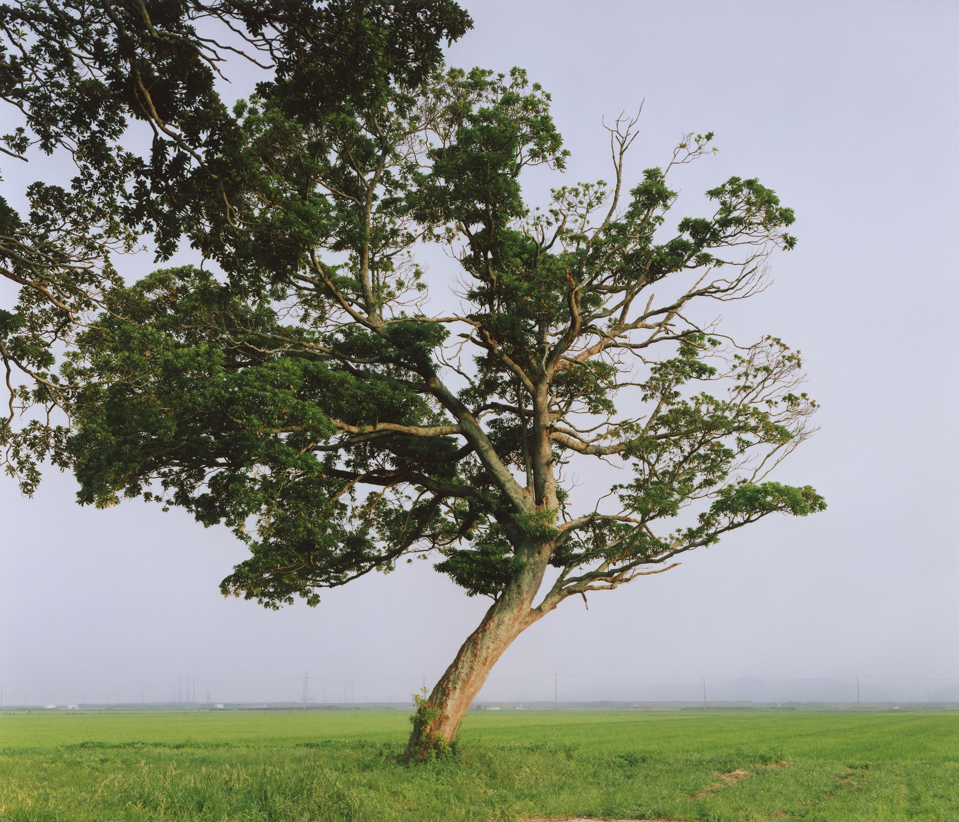 image-f329a73aabec10851ae07979efb6798b83ba1ed0-2756x2361-jpg