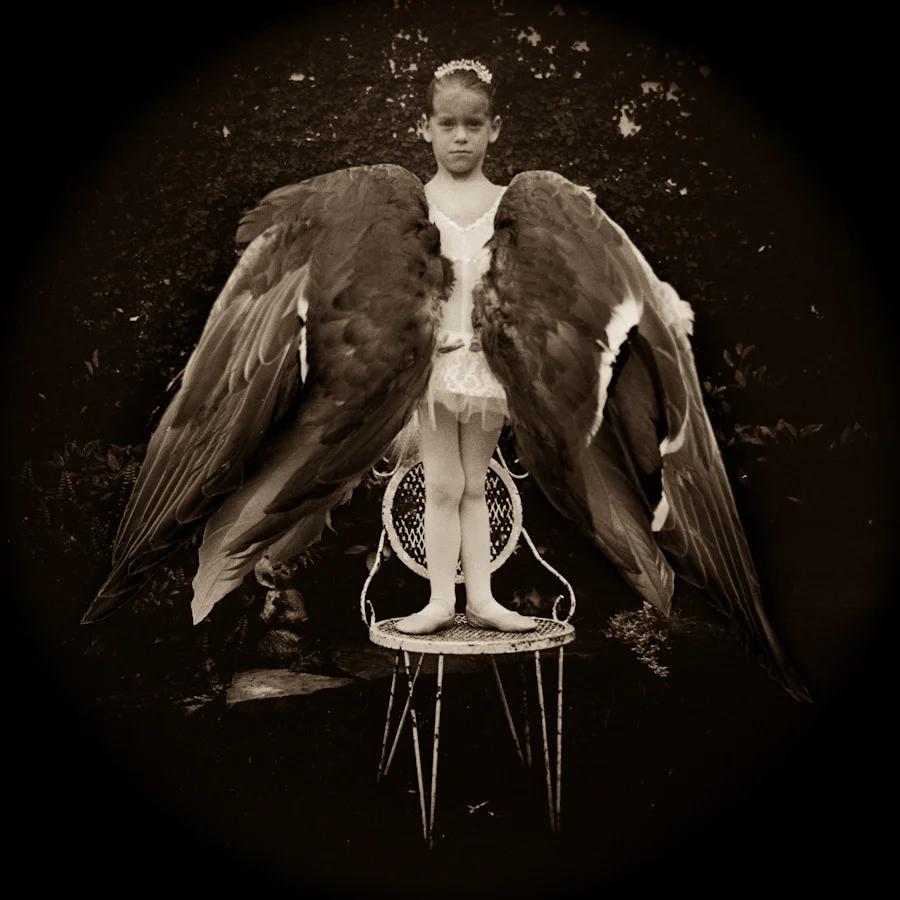 image-f33cd218df50156bfe077363b2454cf2cd7167e4-900x900-webp