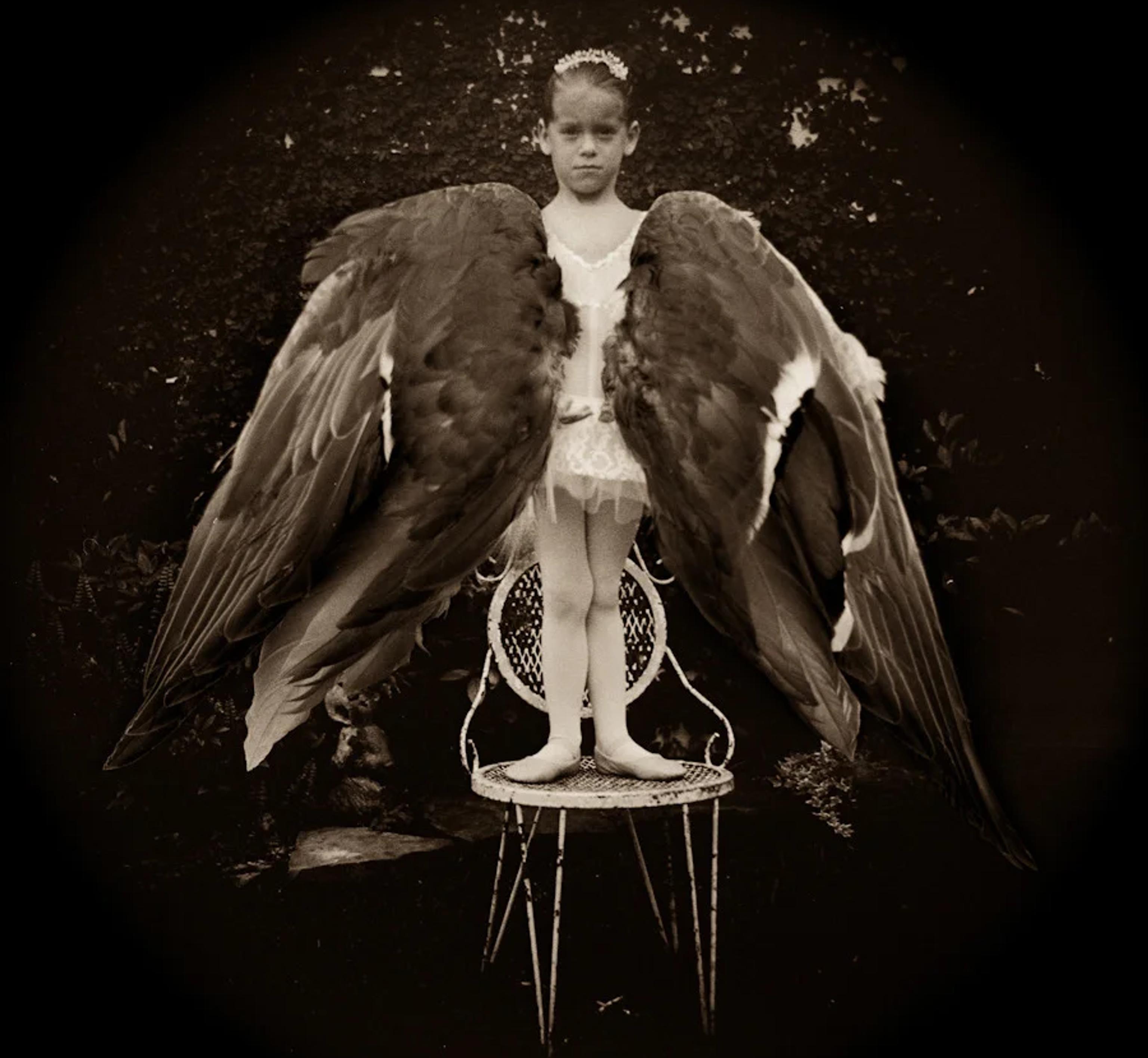 image-f33cd218df50156bfe077363b2454cf2cd7167e4-900x900-webp