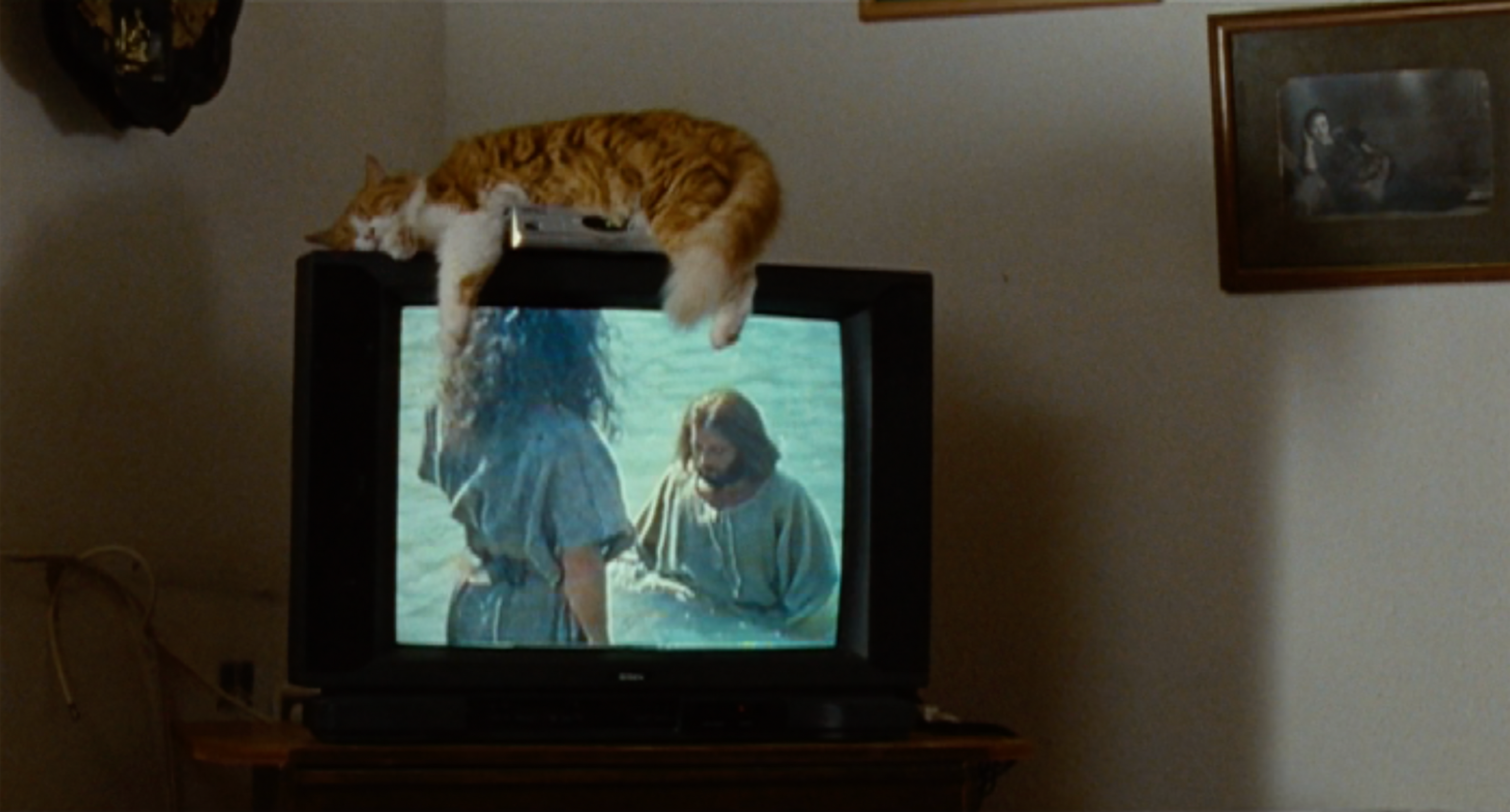 image-f7fdf93dccf2b37dcfdae941d90a746b7bf84270-2968x1598-png