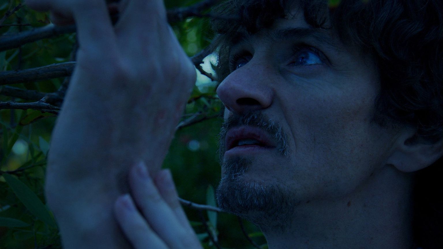 image-f83b83169f97853720d23b7e7b924ddde9b5514e-1920x1080-jpg