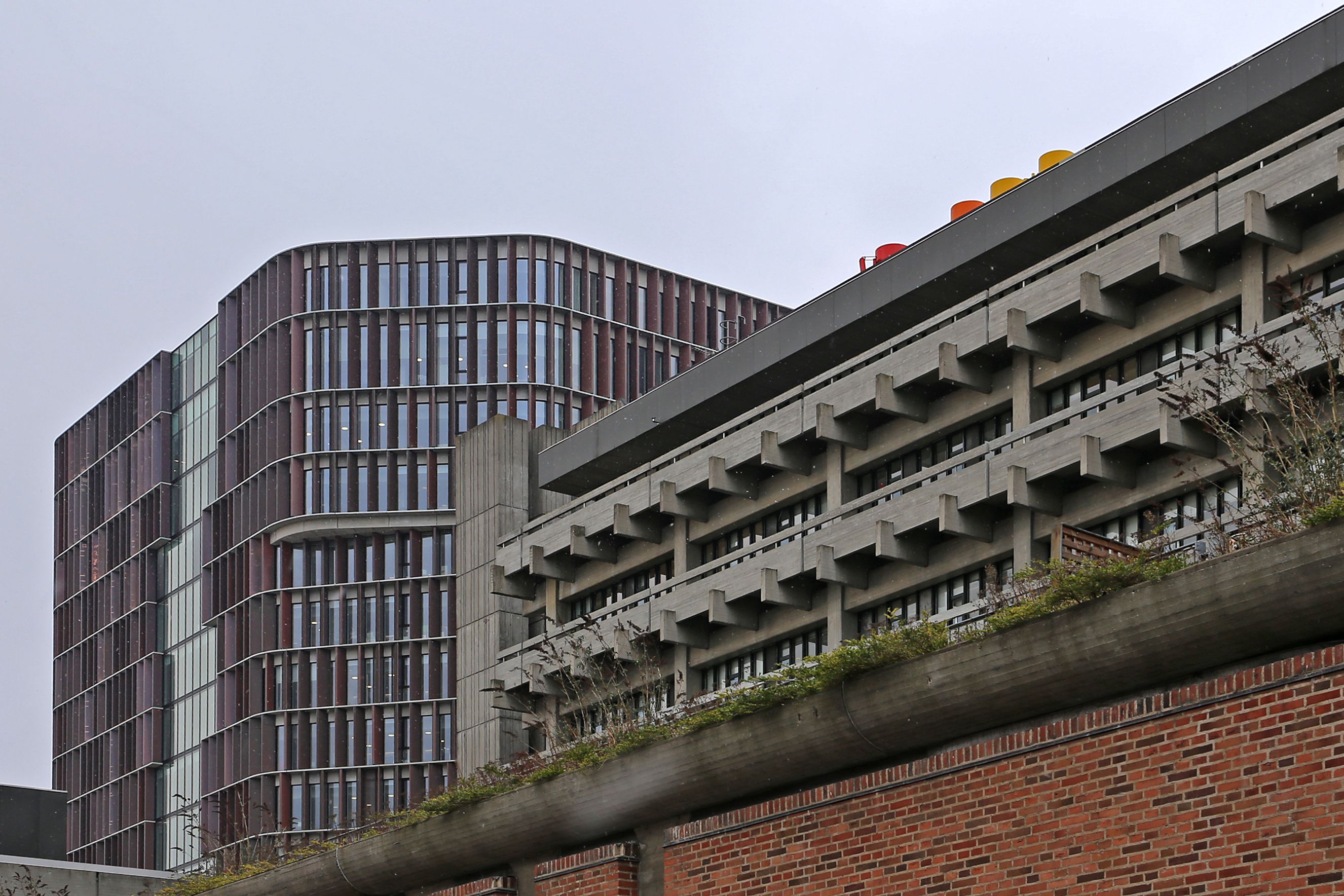 image-fa32f8eb8febf452d8e3efb7532e8c5c873d8d6b-2652x1768-jpg