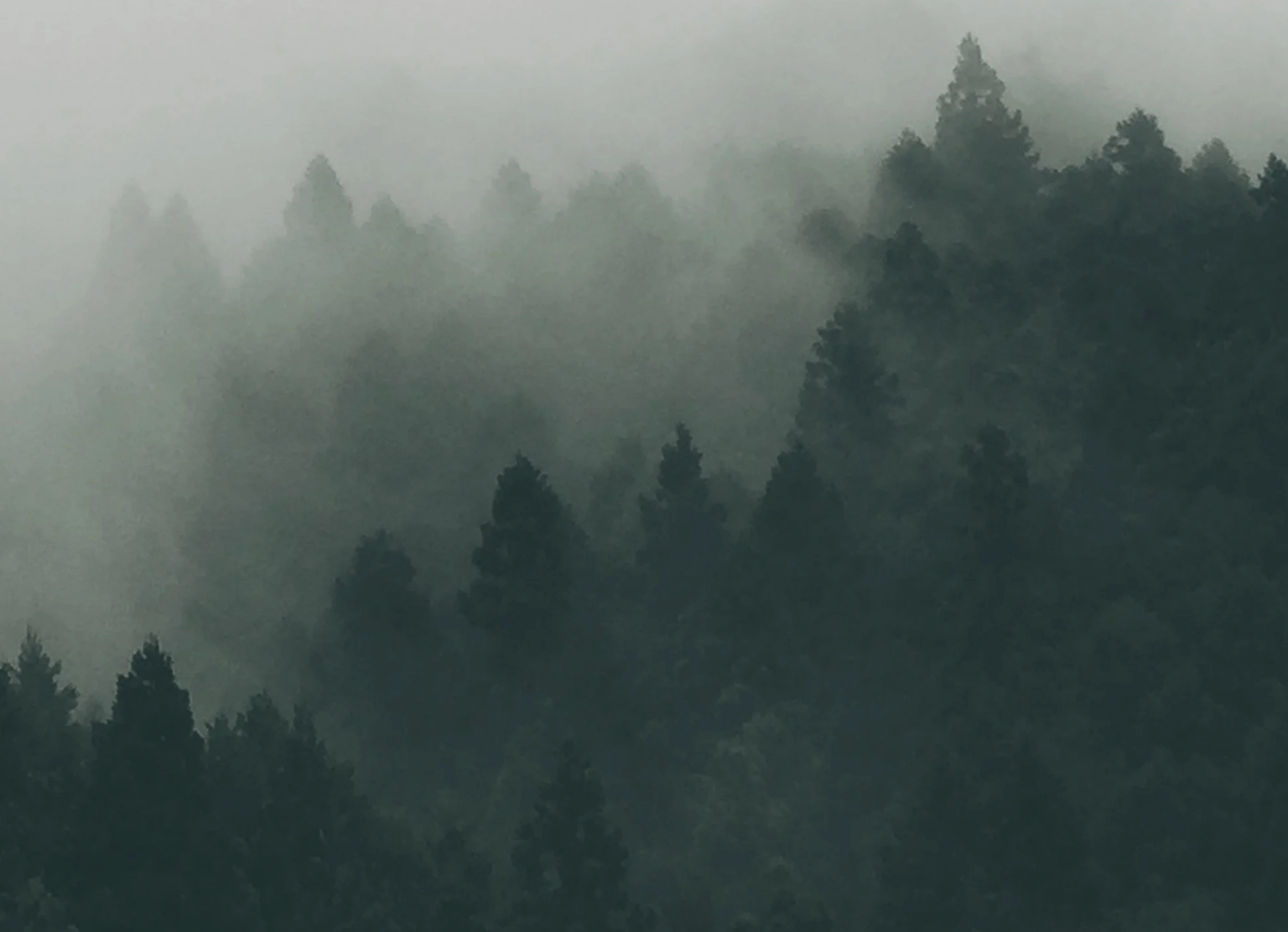 image-fe15ff993e4d64508b36878182771f59f9990a84-2472x1790-png