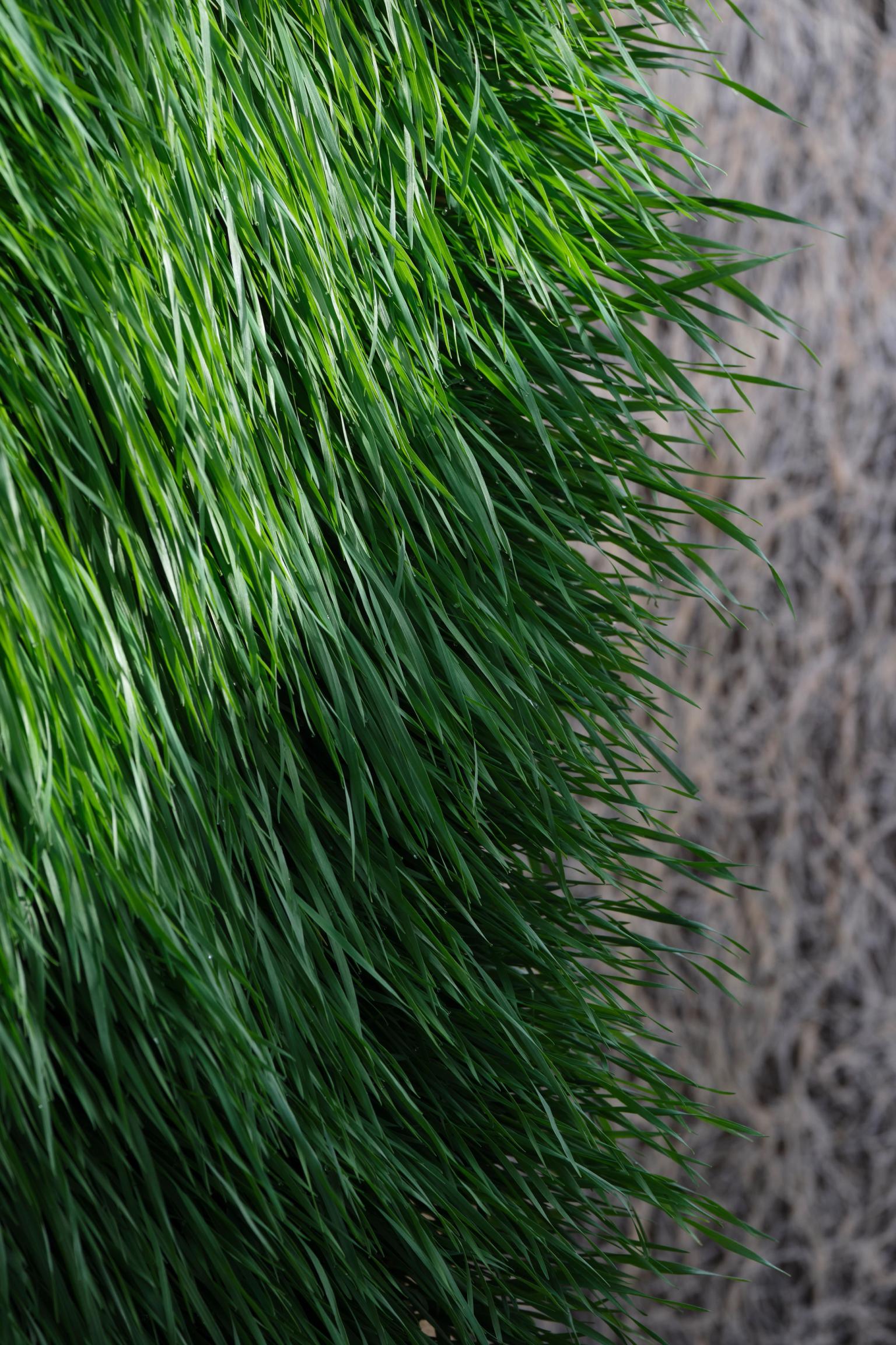 image-fe5632d006679cc2b51ef0bcb269b2d13c3c5c05-4996x7494-jpg