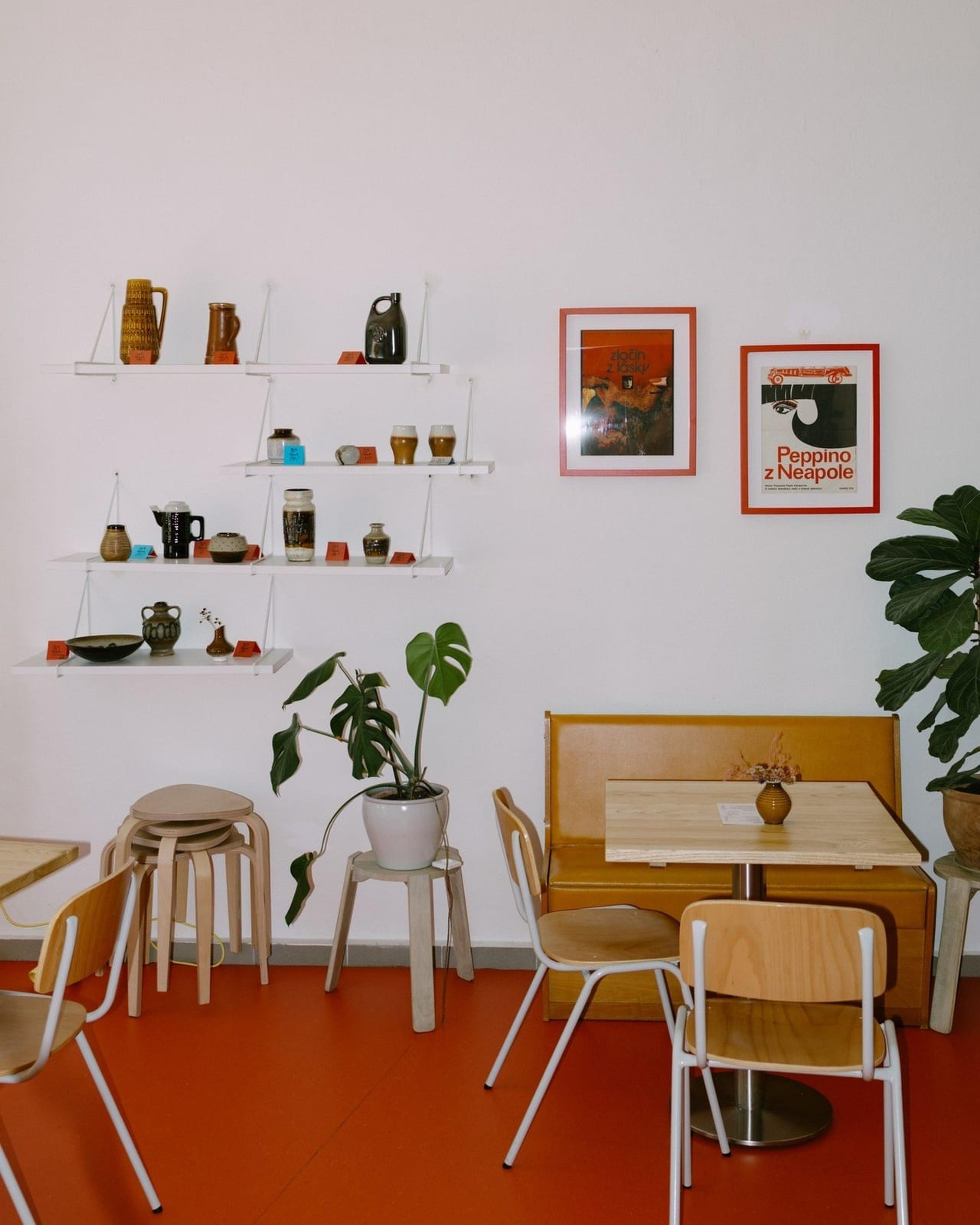 Lajka žije - photo 2