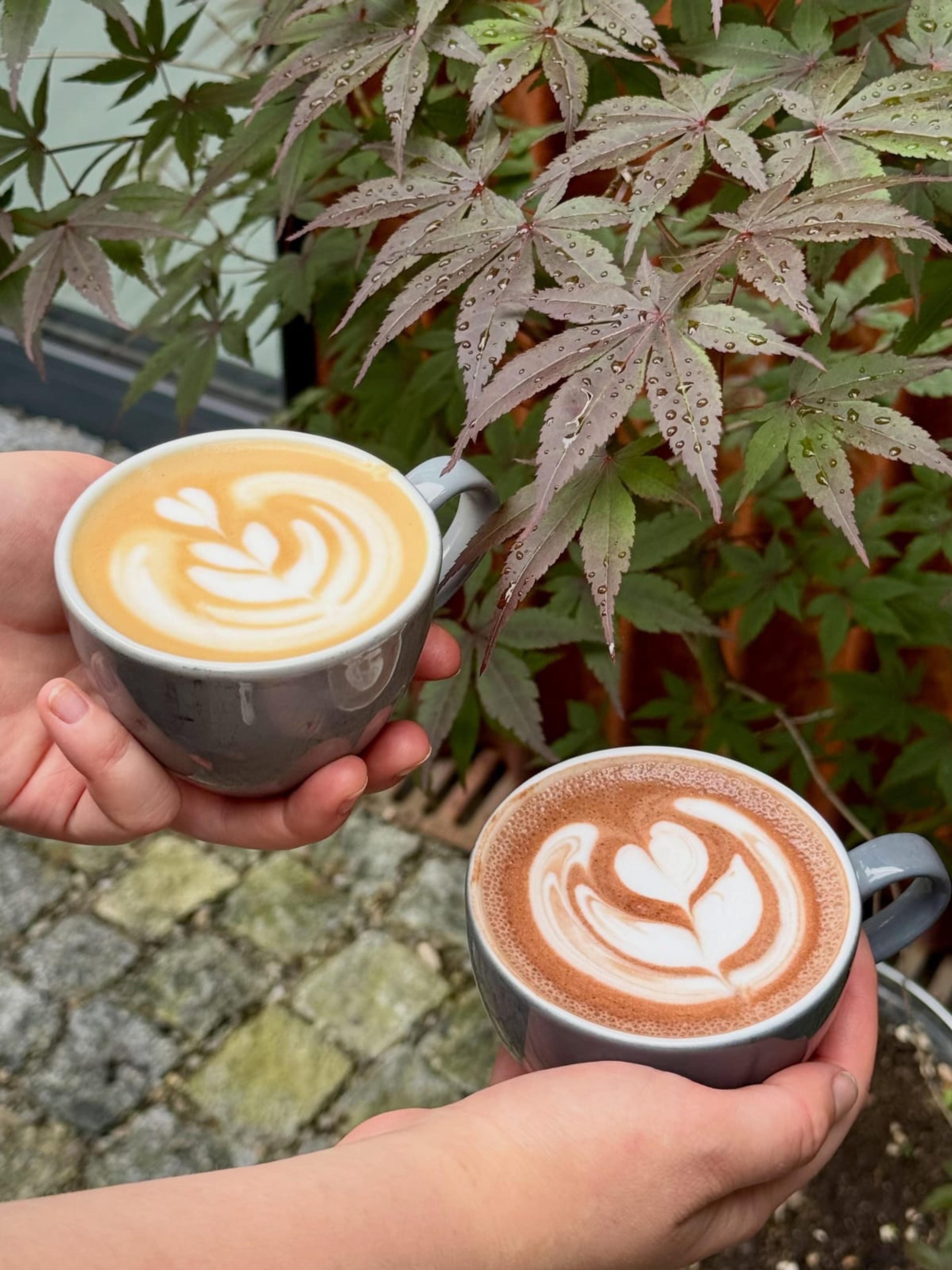 Kafe Rejnička - photo 1