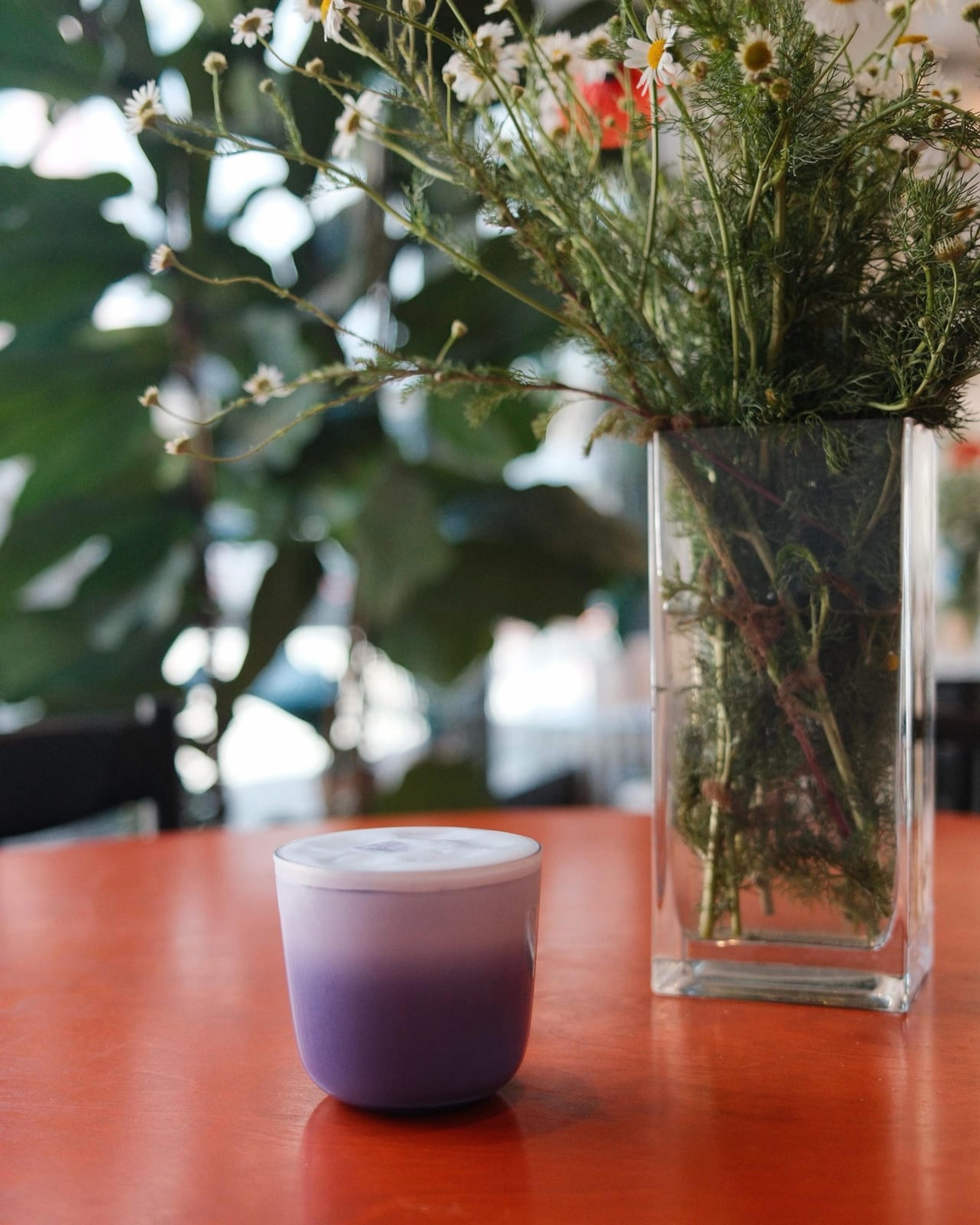 KOPI - photo 2