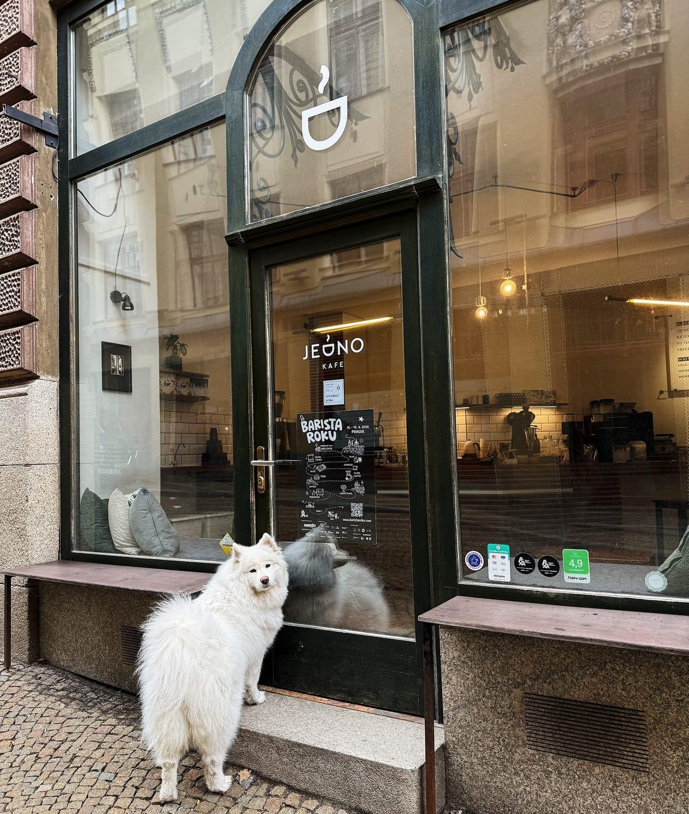 Jedno Kafe - photo 1
