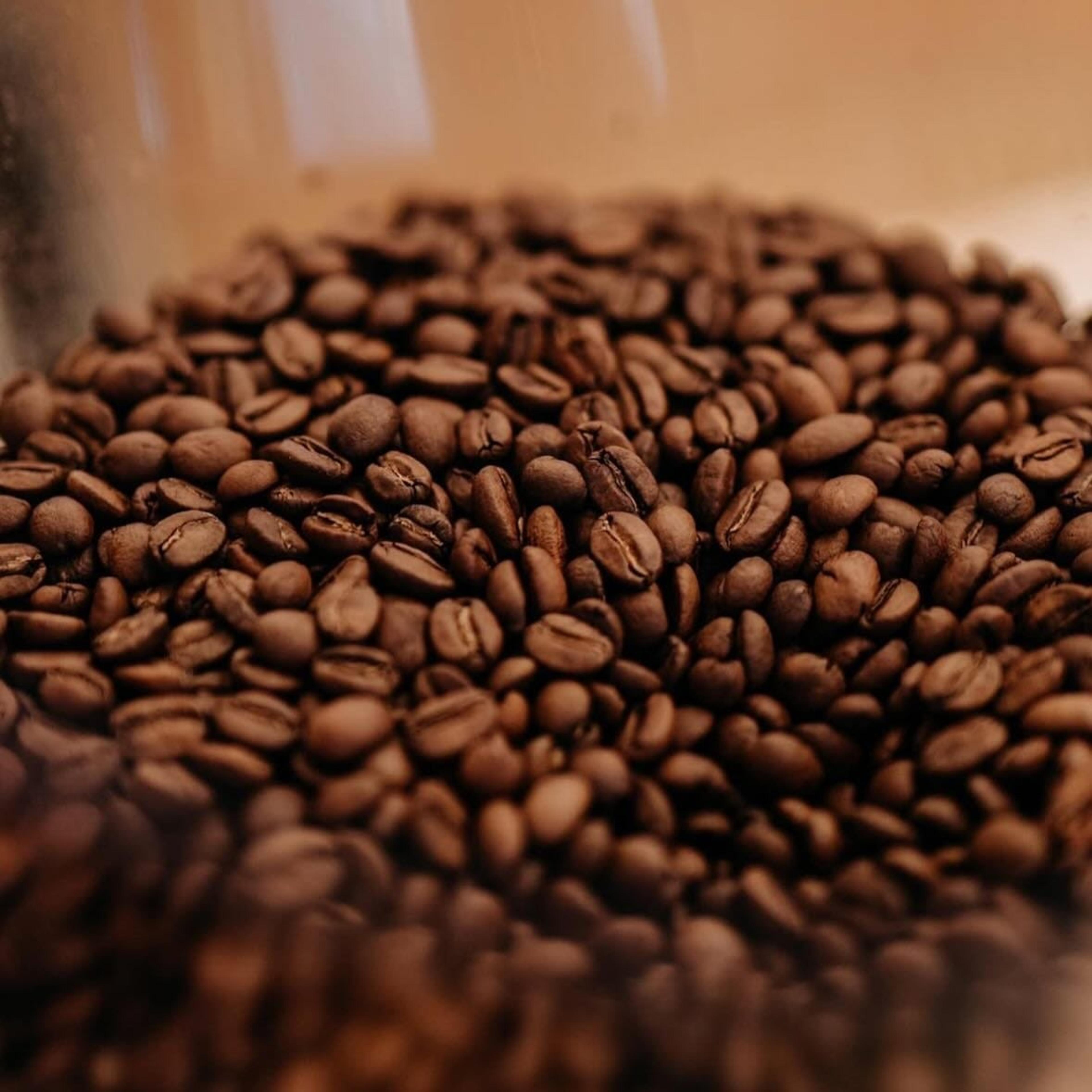 KAFE VE MŠENĚ - photo 2