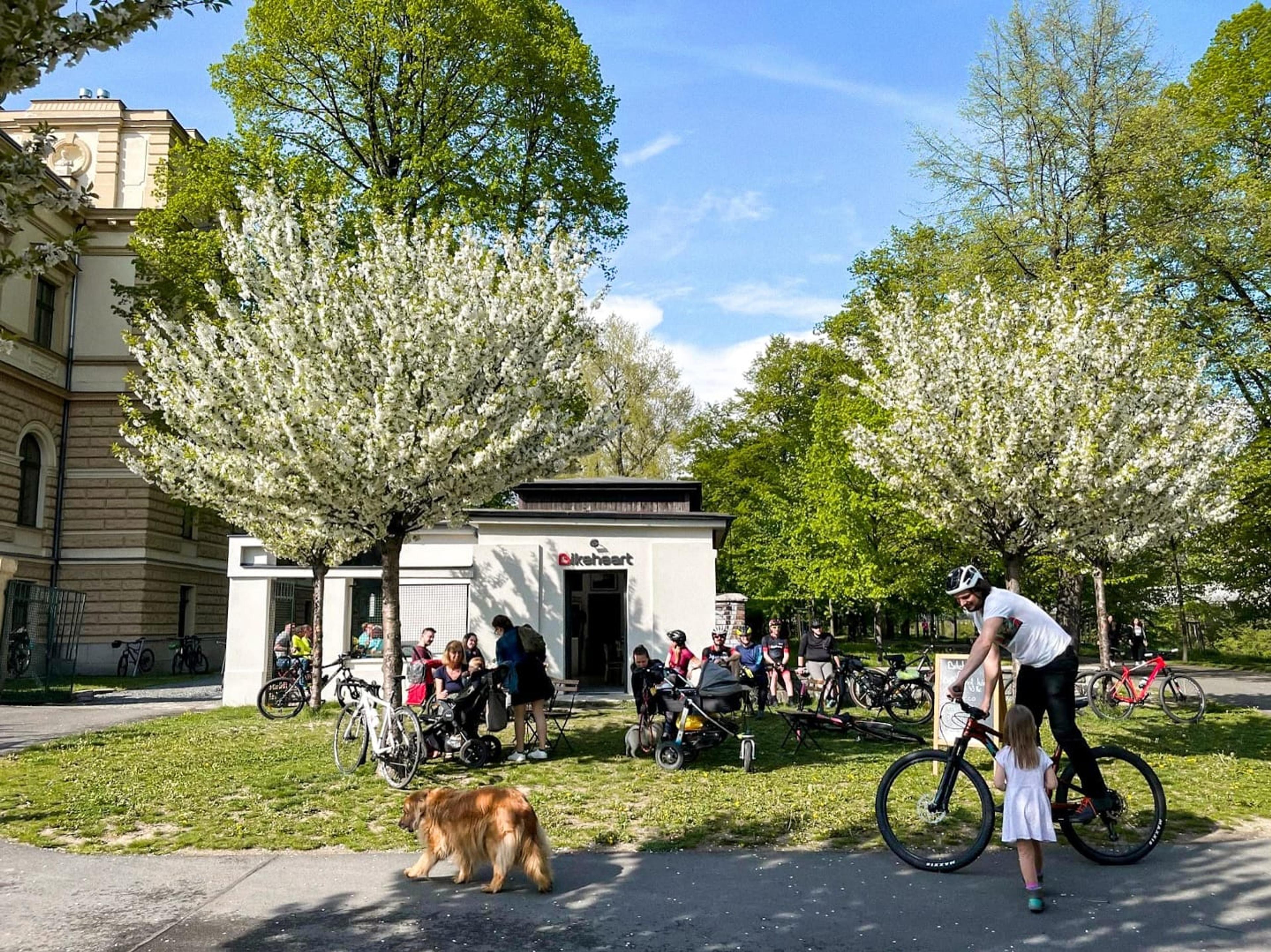 Bikeheart Café - photo 3