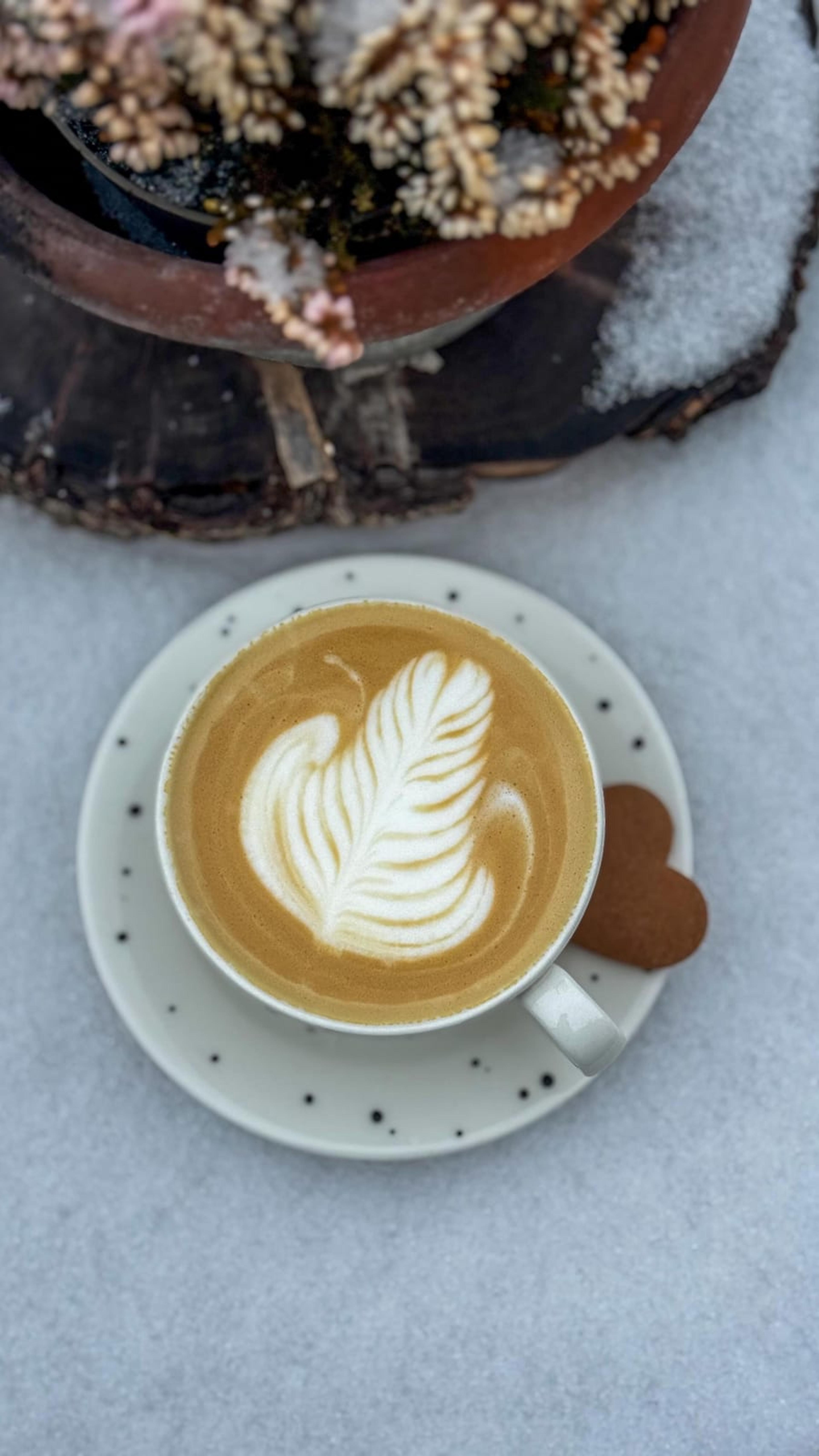 Fiore café - photo 1