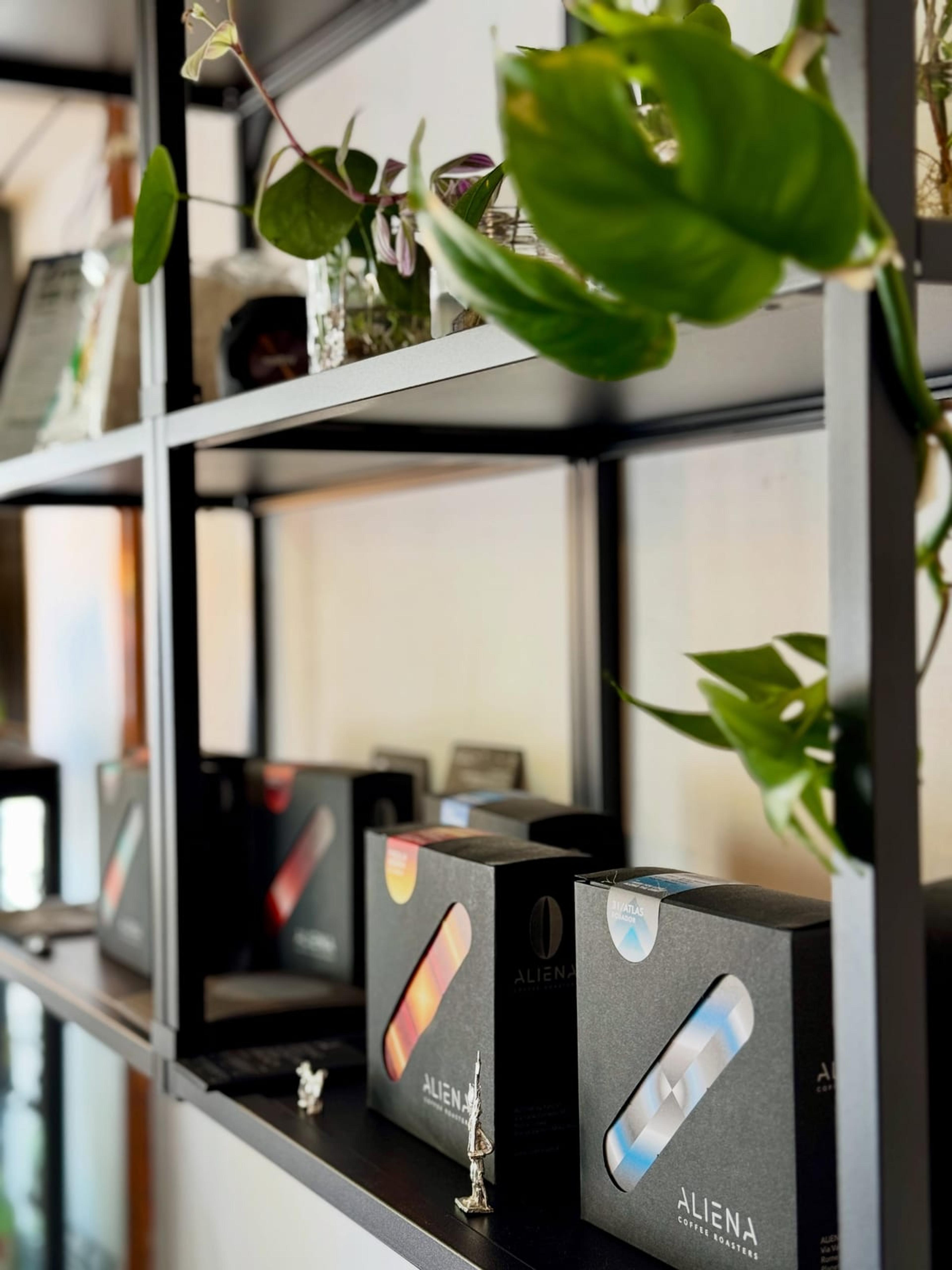 I/O Coffee - photo 1