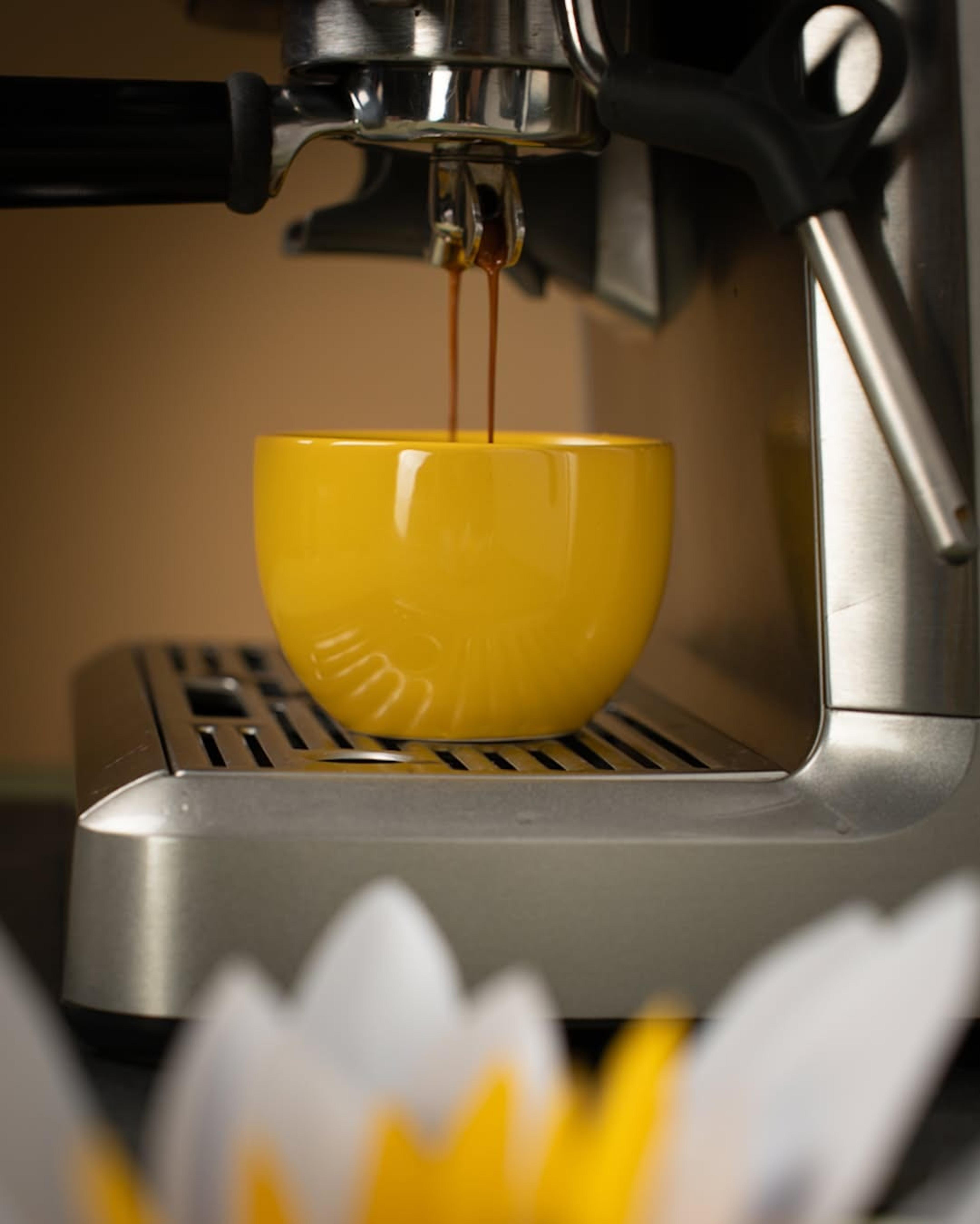 BeBerry Coffee Showroom - photo 3