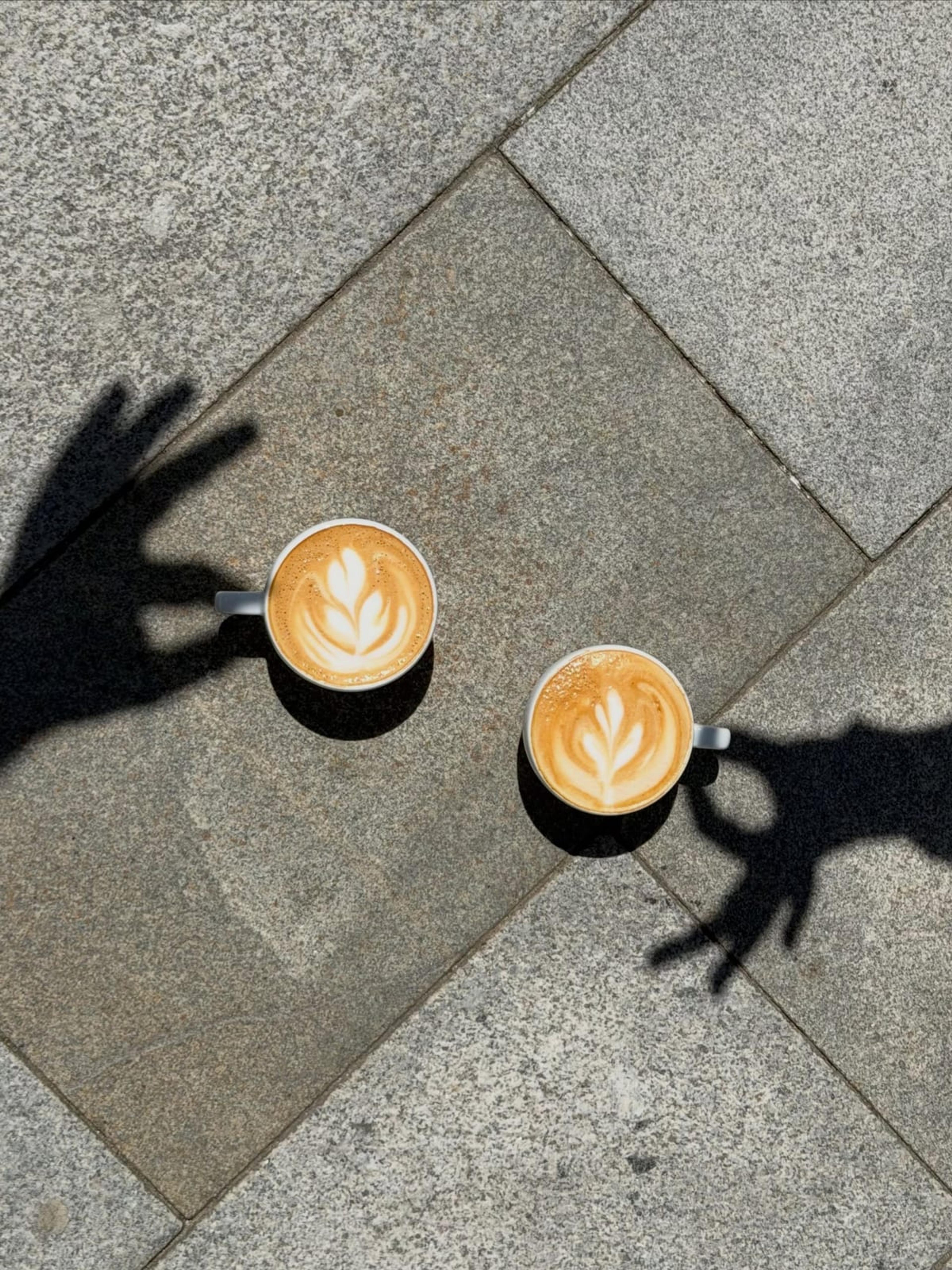 veloCAFÉ - photo 1