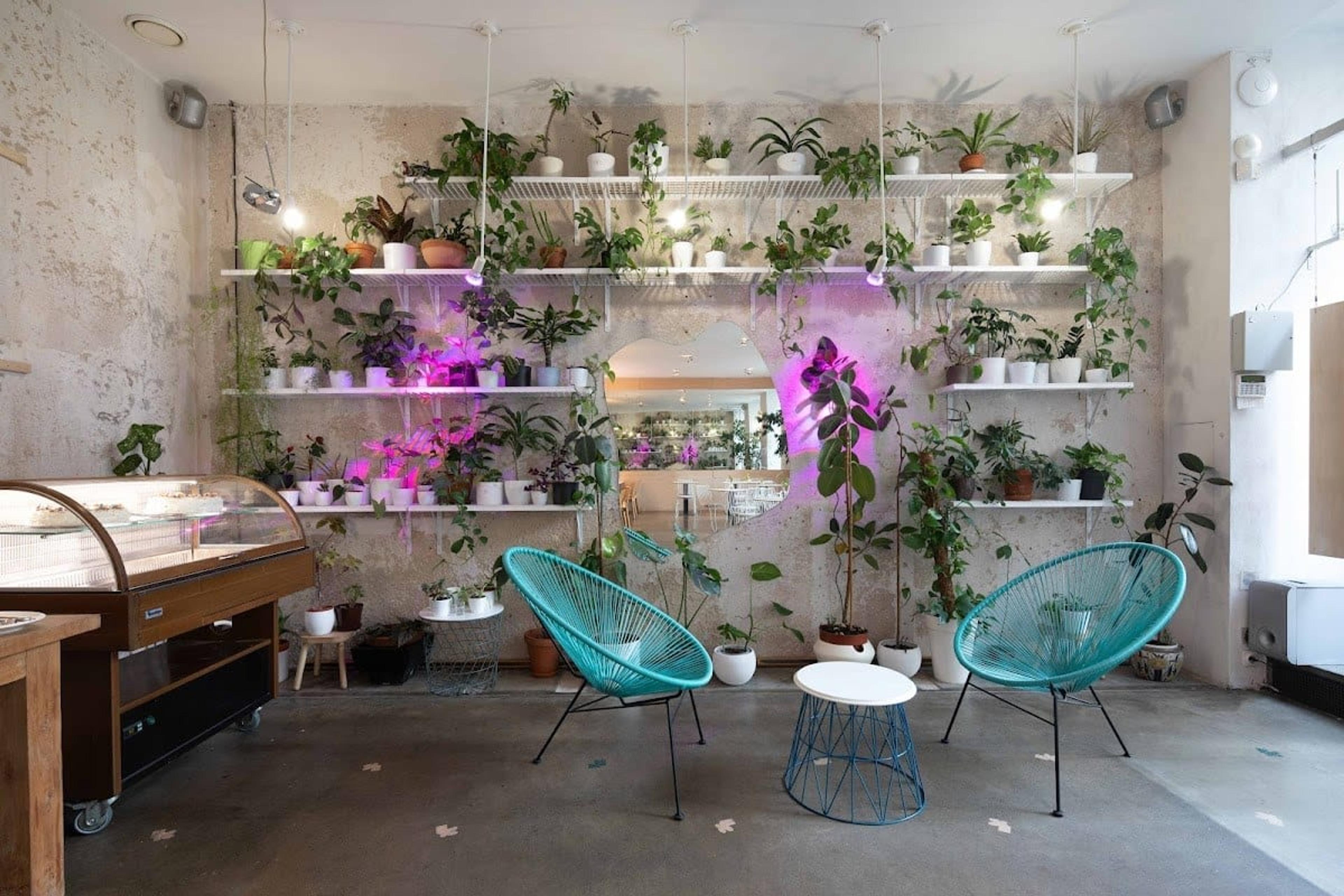 Mistral Café - photo 1