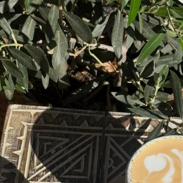 Cafein - photo 1