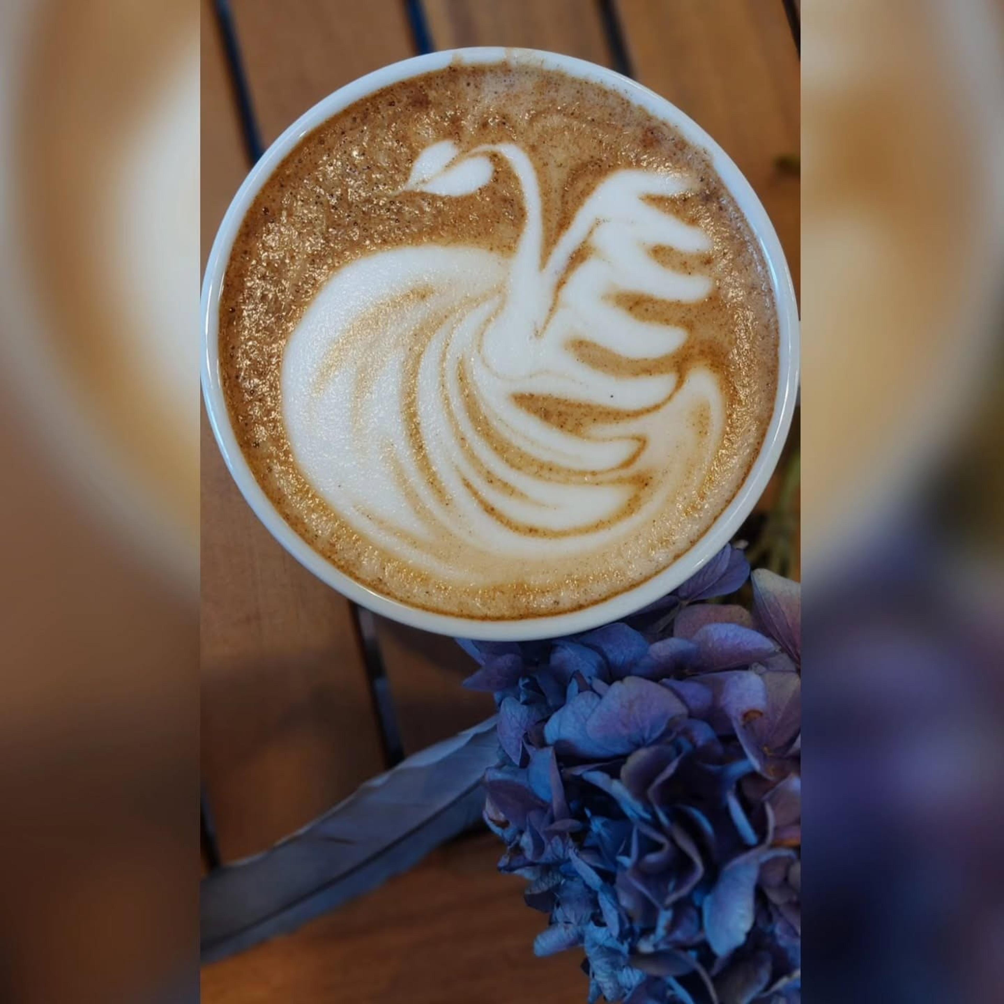 Kafe Okolo - photo 2