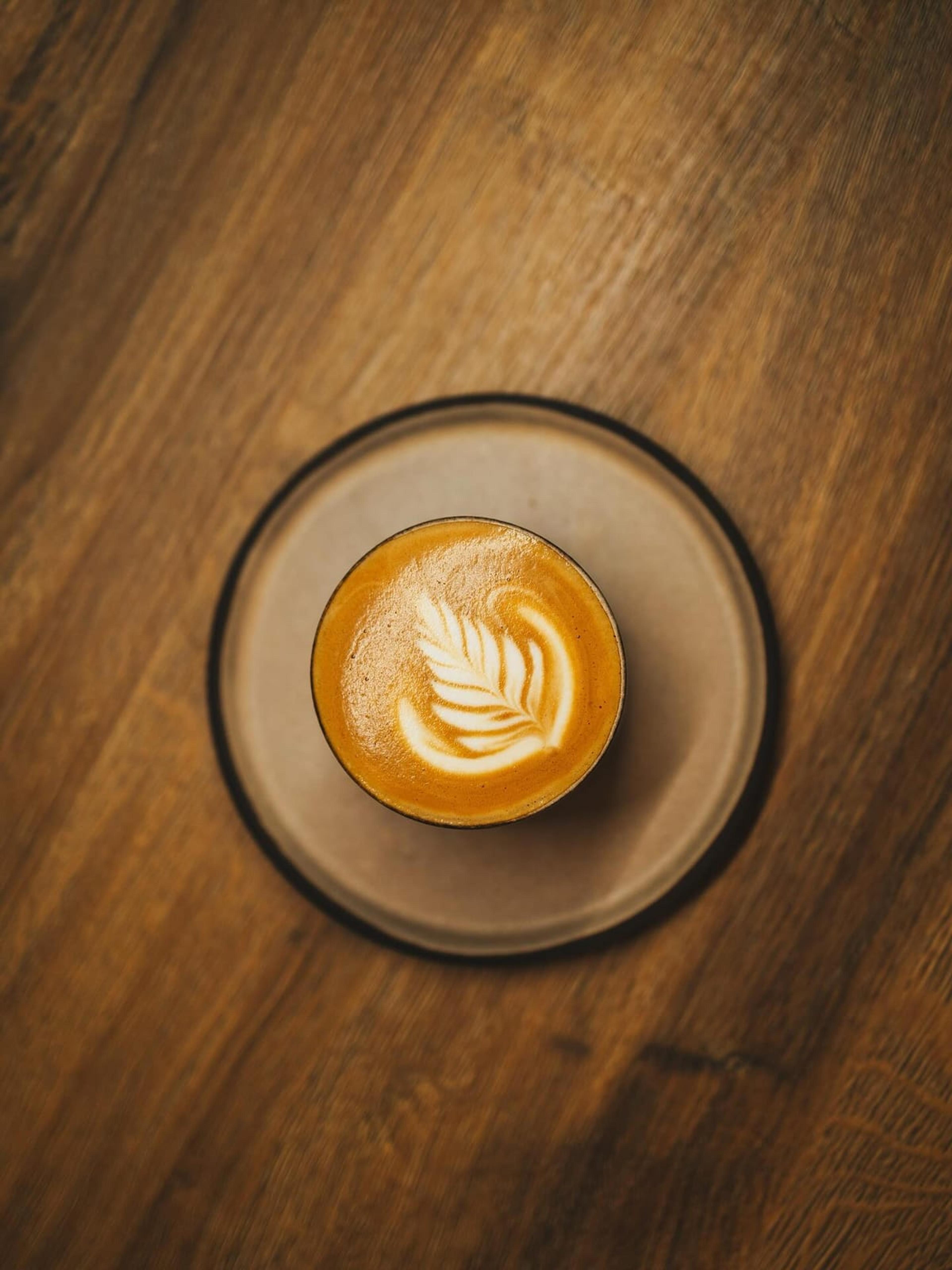 Café Lyrata - photo 1