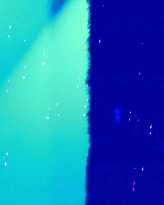 @alldnr_