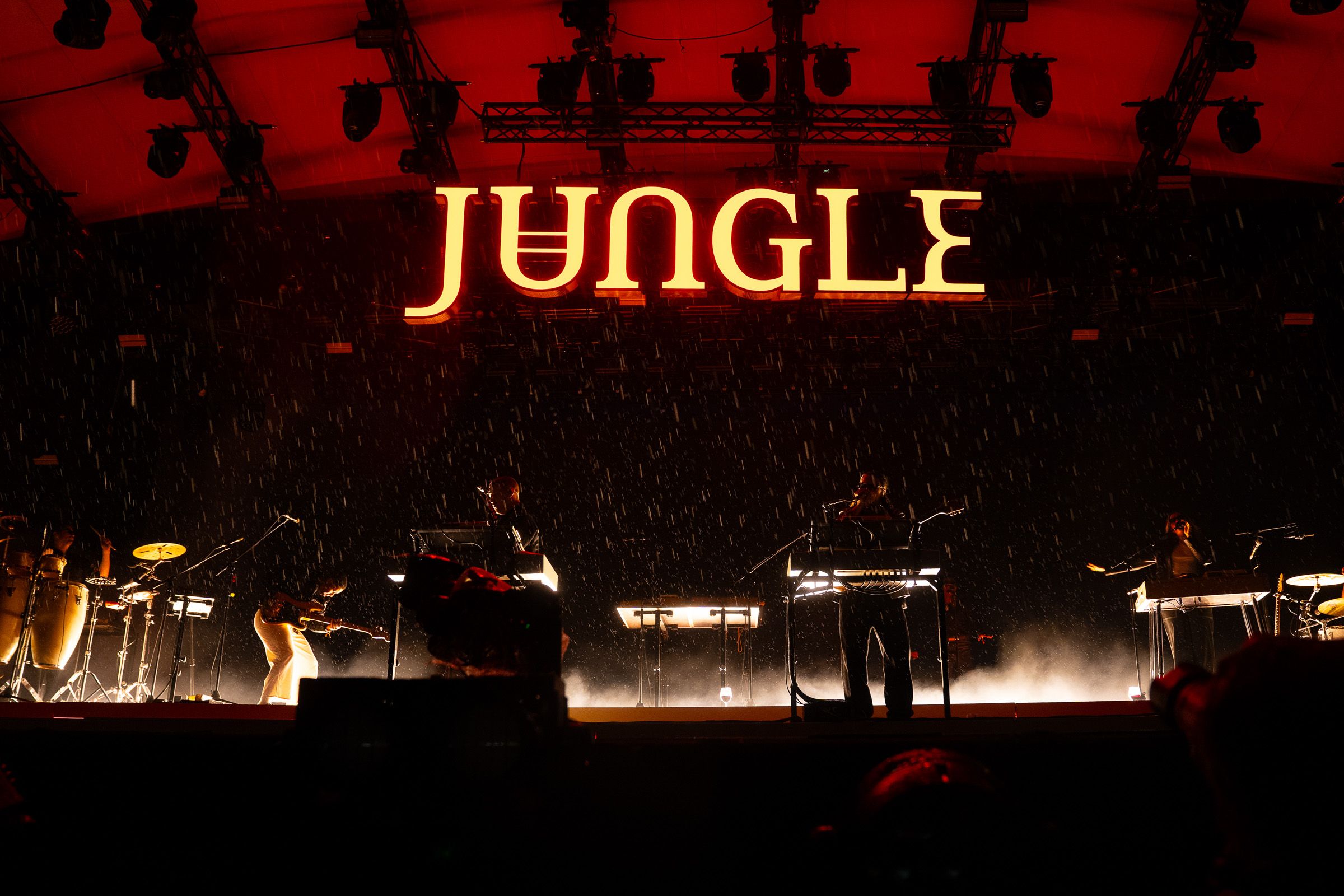 Jungle