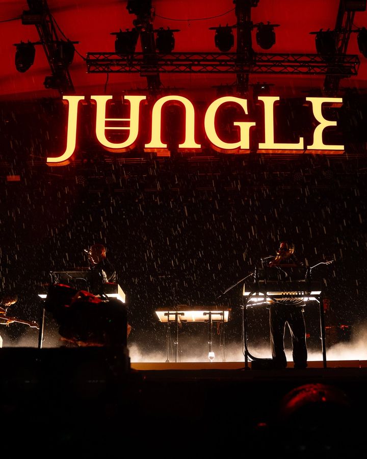 Jungle