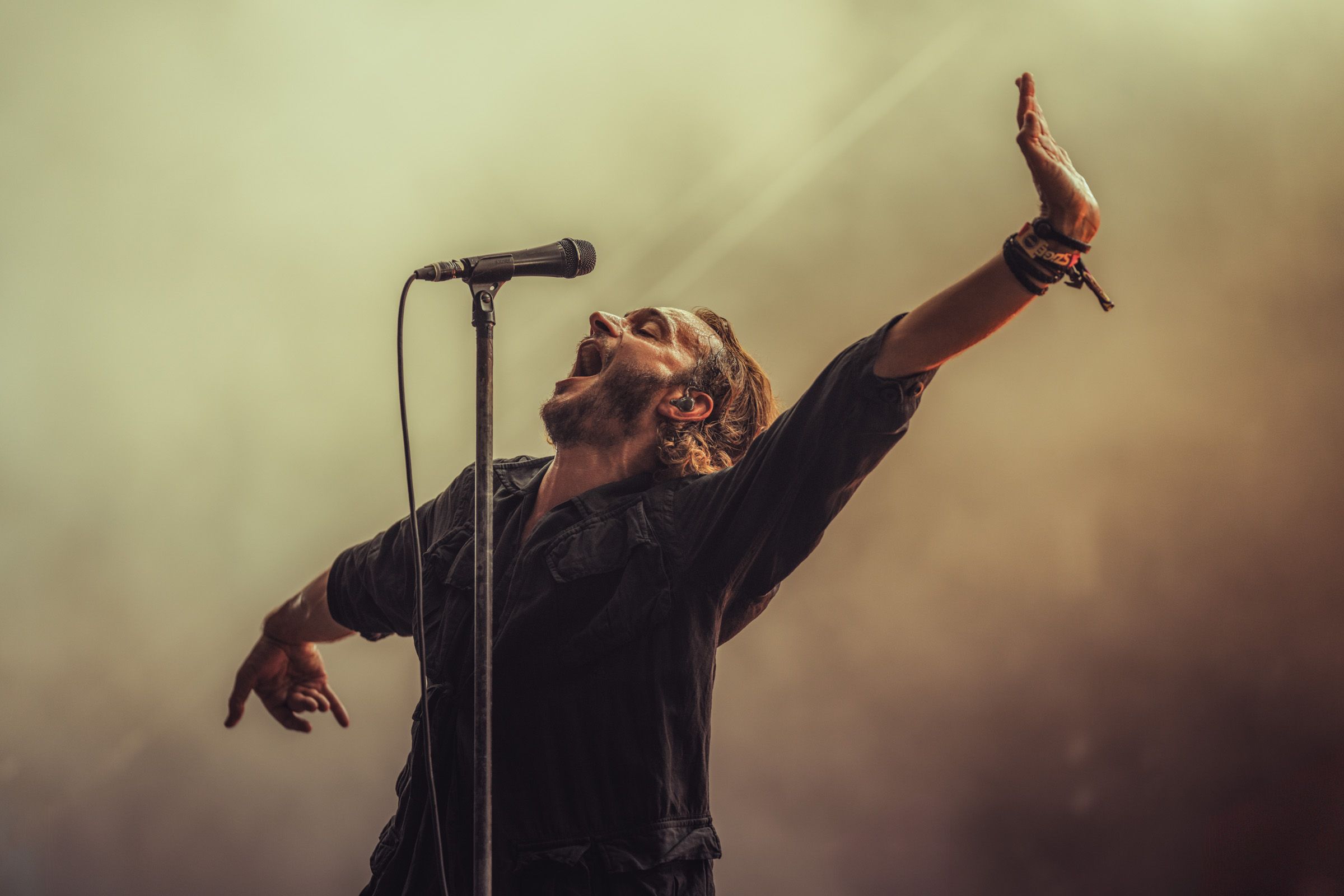 Editors