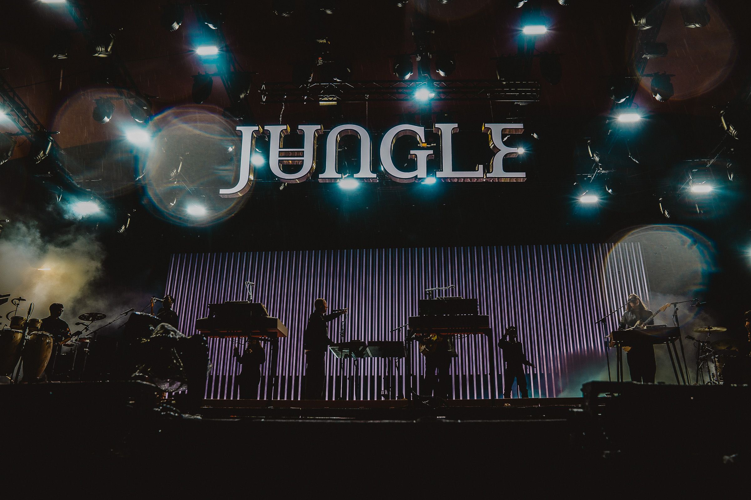 Jungle