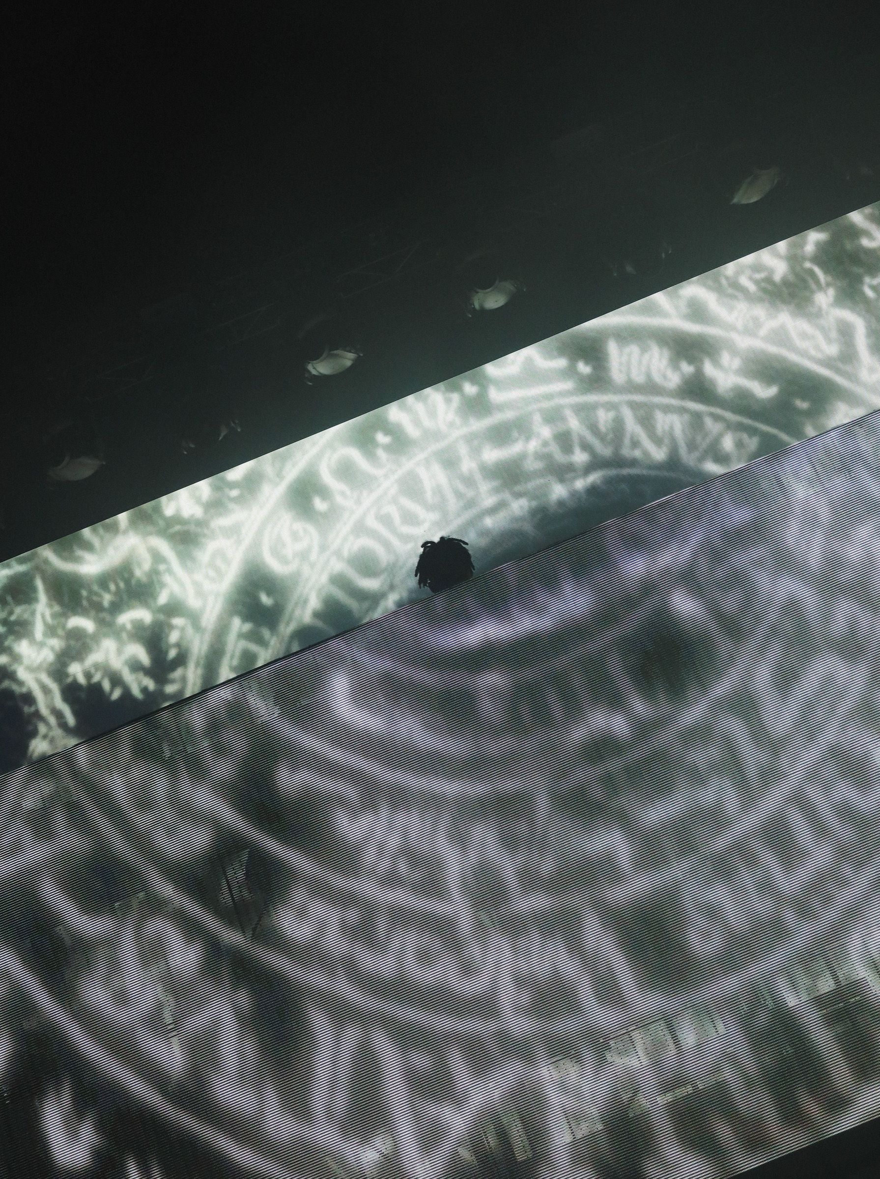 Flying Lotus