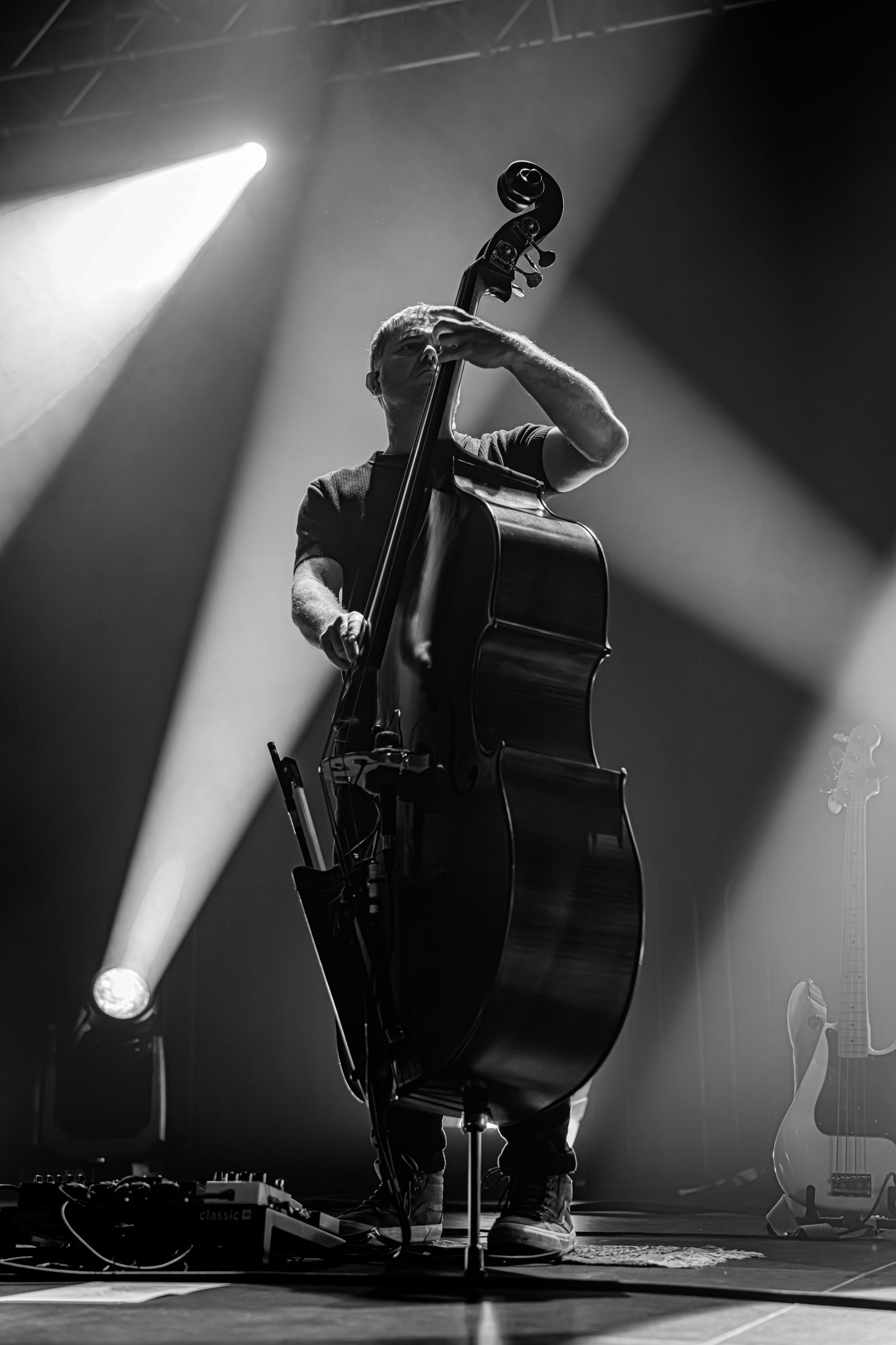 GoGo Penguin