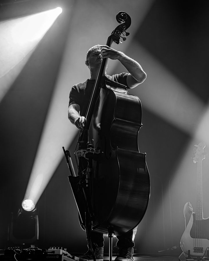 GoGo Penguin