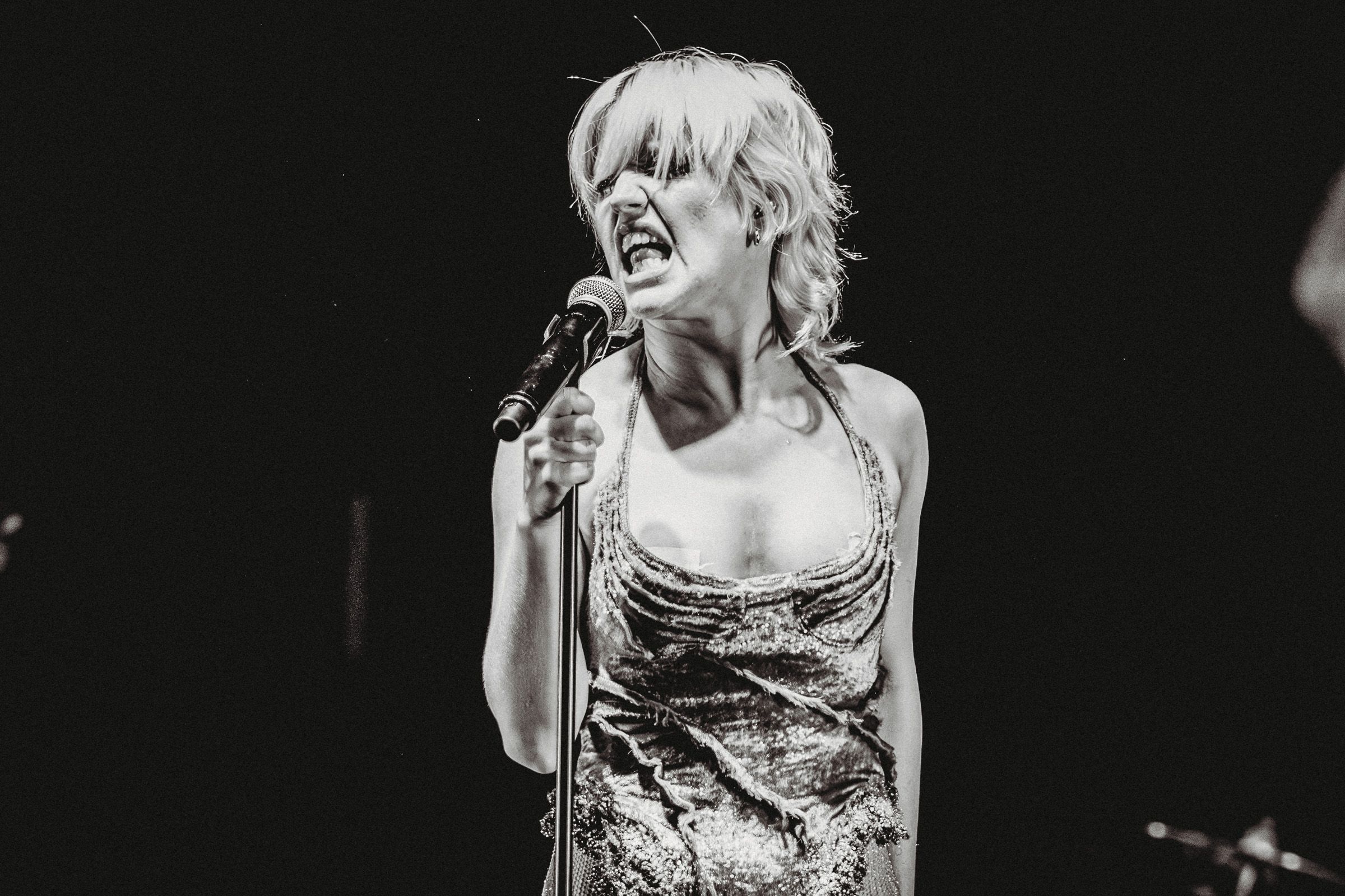 Amyl and the Sniffers
