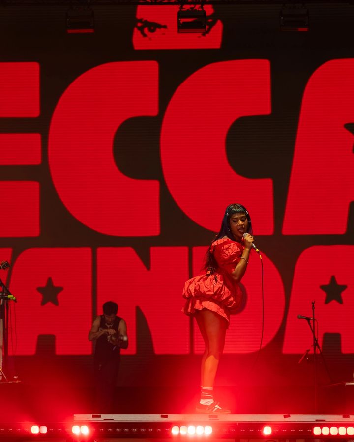 Ecca Vandal