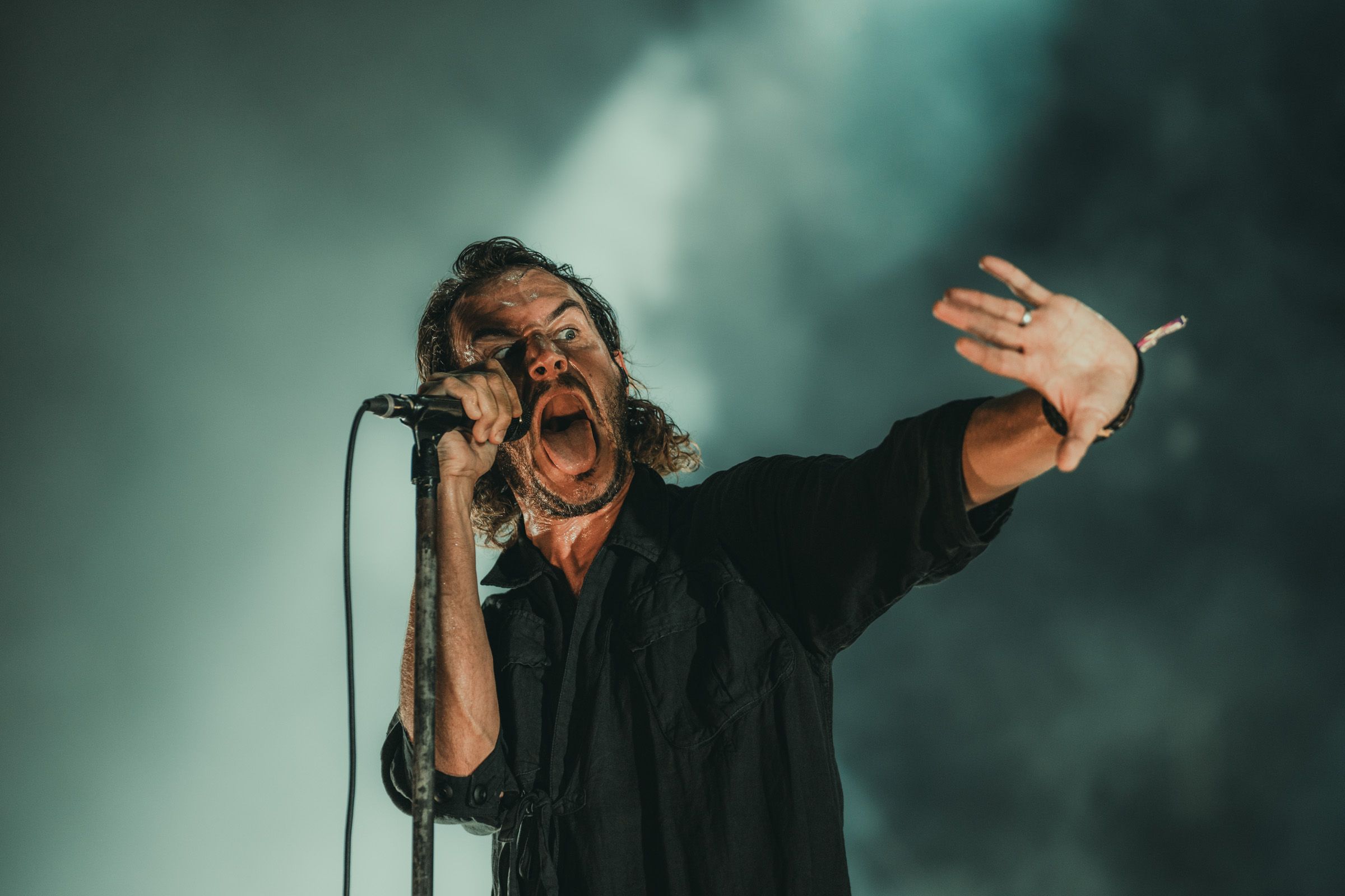 Editors · Sziget Festival