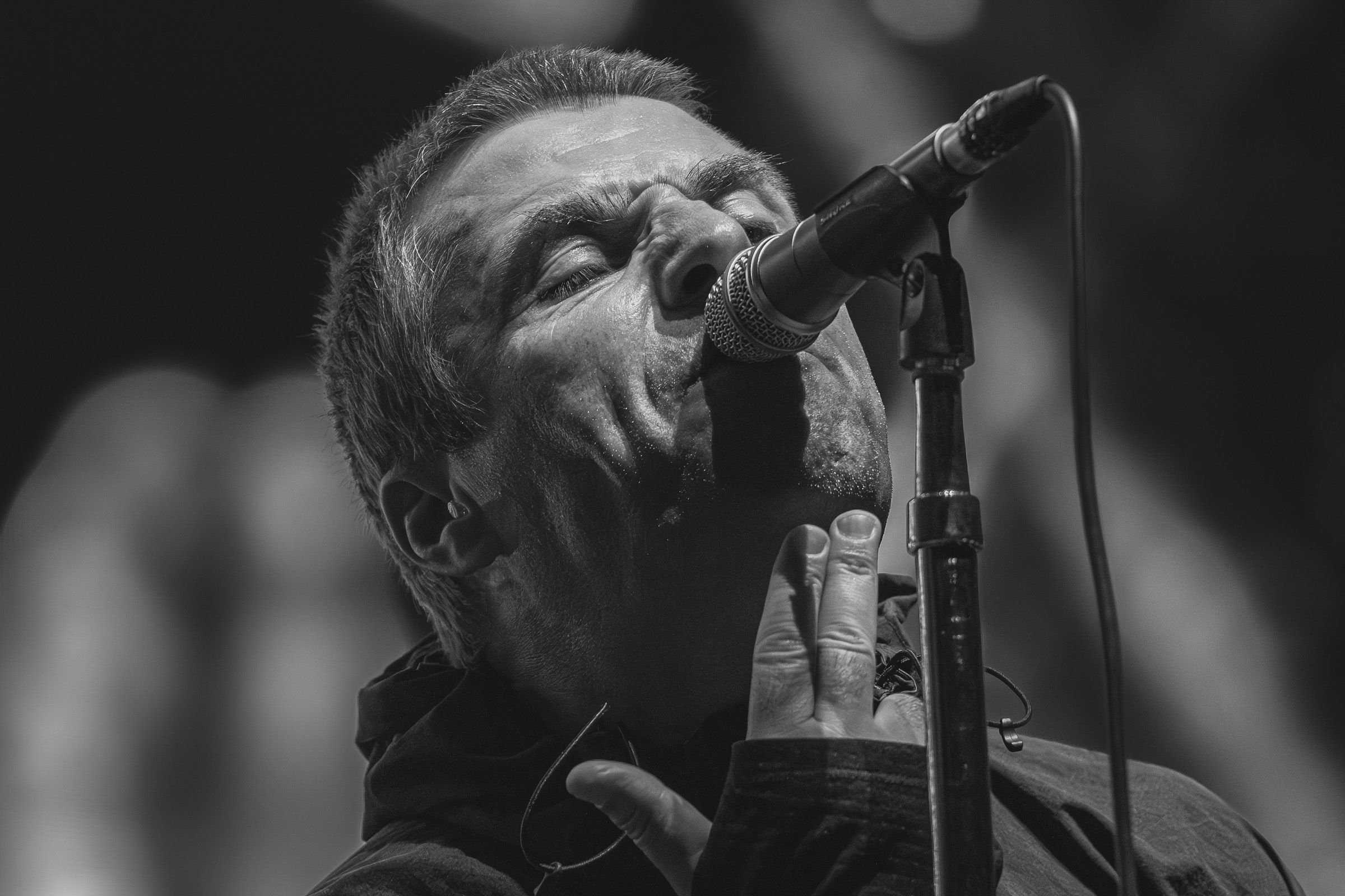 Liam Gallagher · Sziget Festival