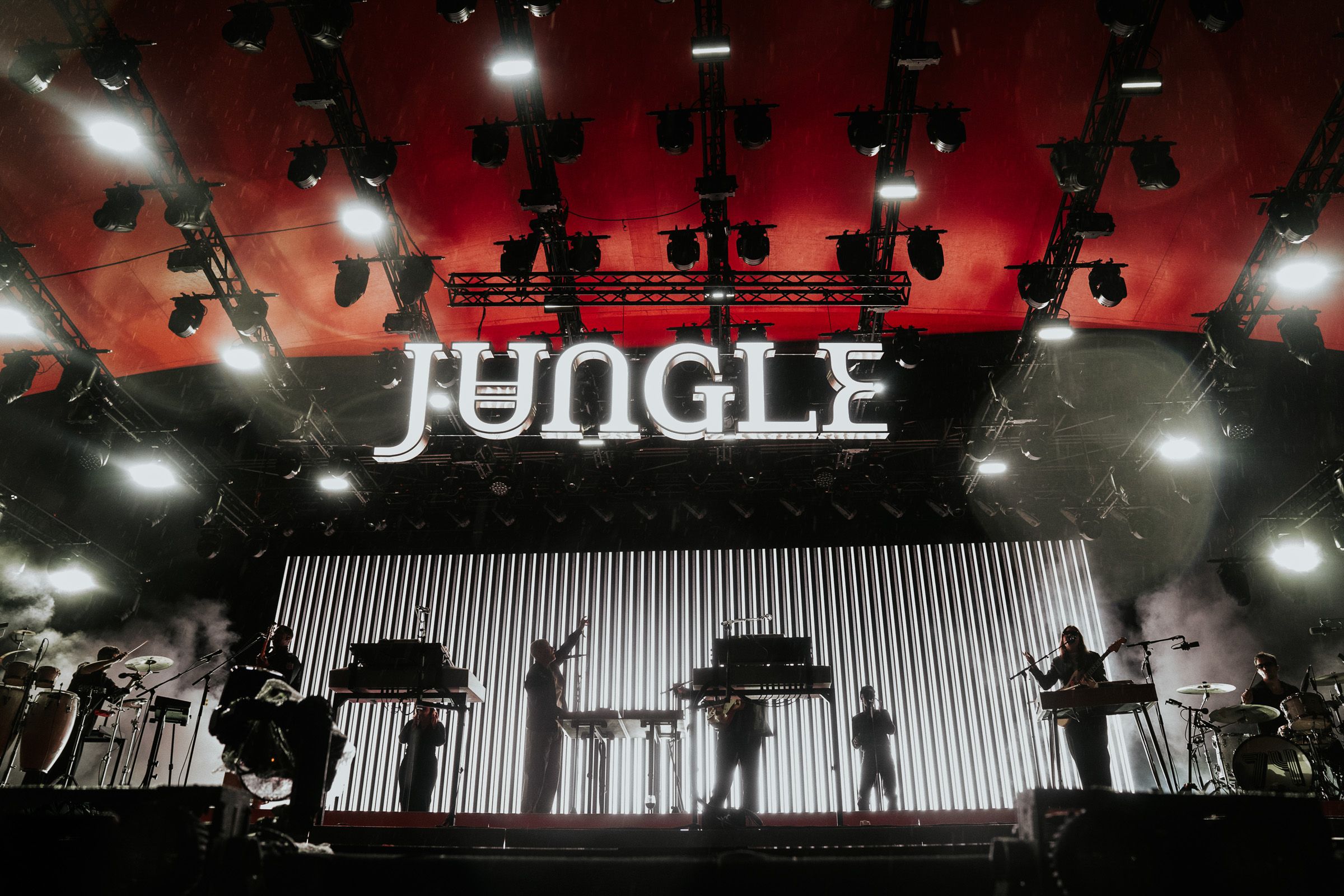 Jungle