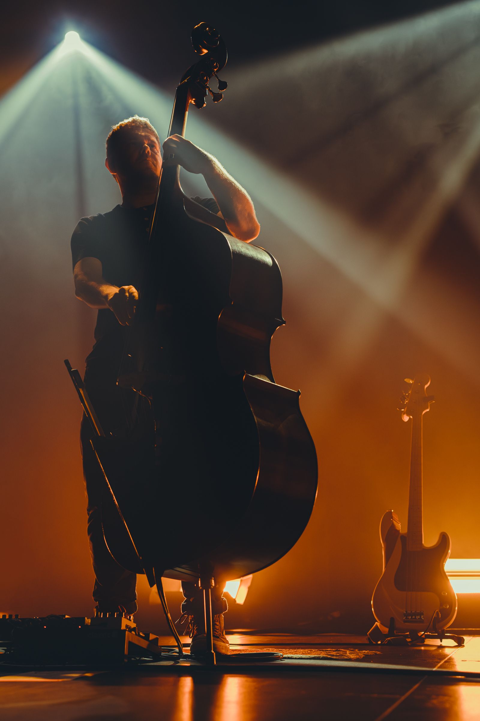 GoGo Penguin
