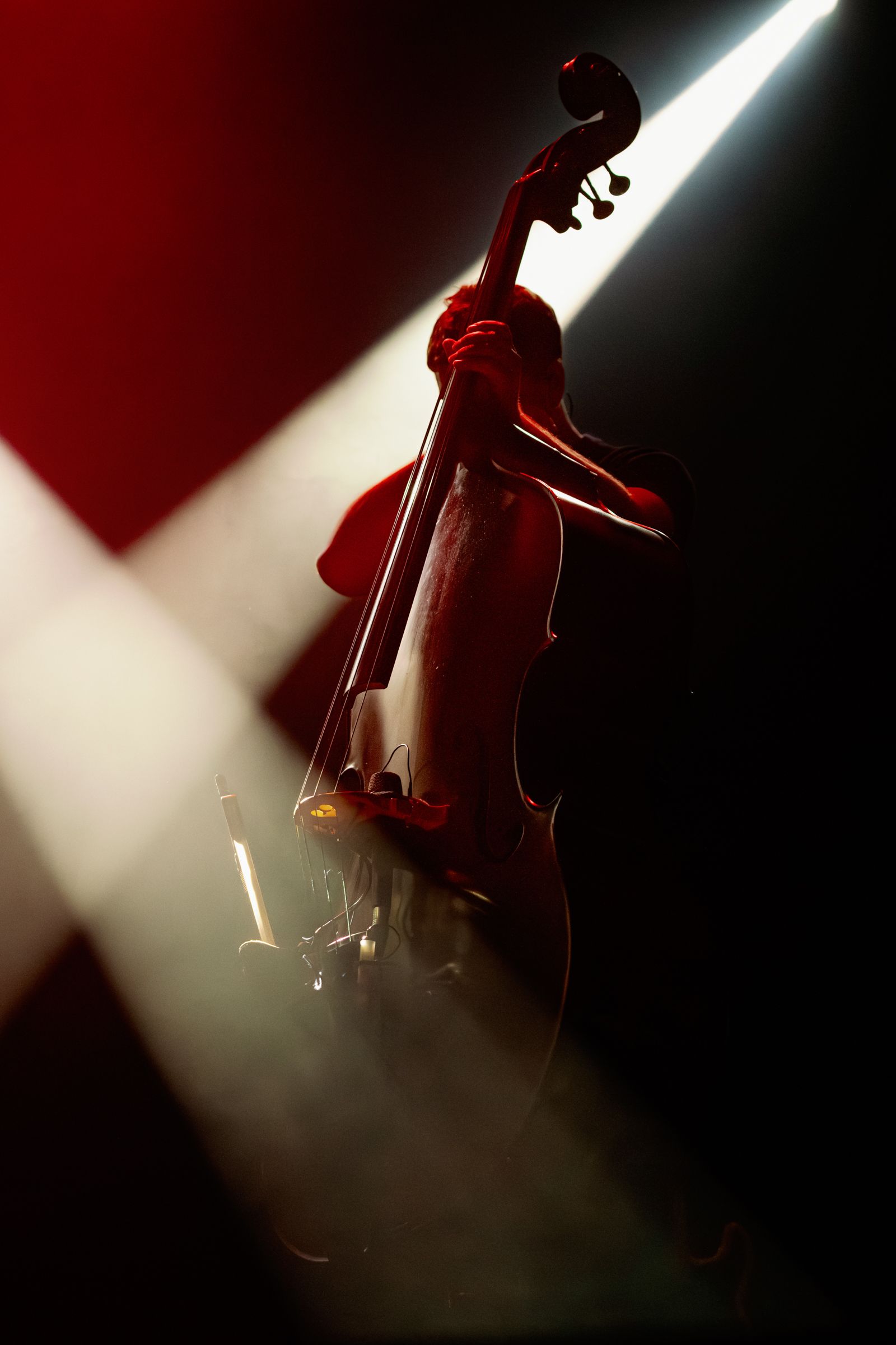 GoGo Penguin · Huxleys Neue Welt