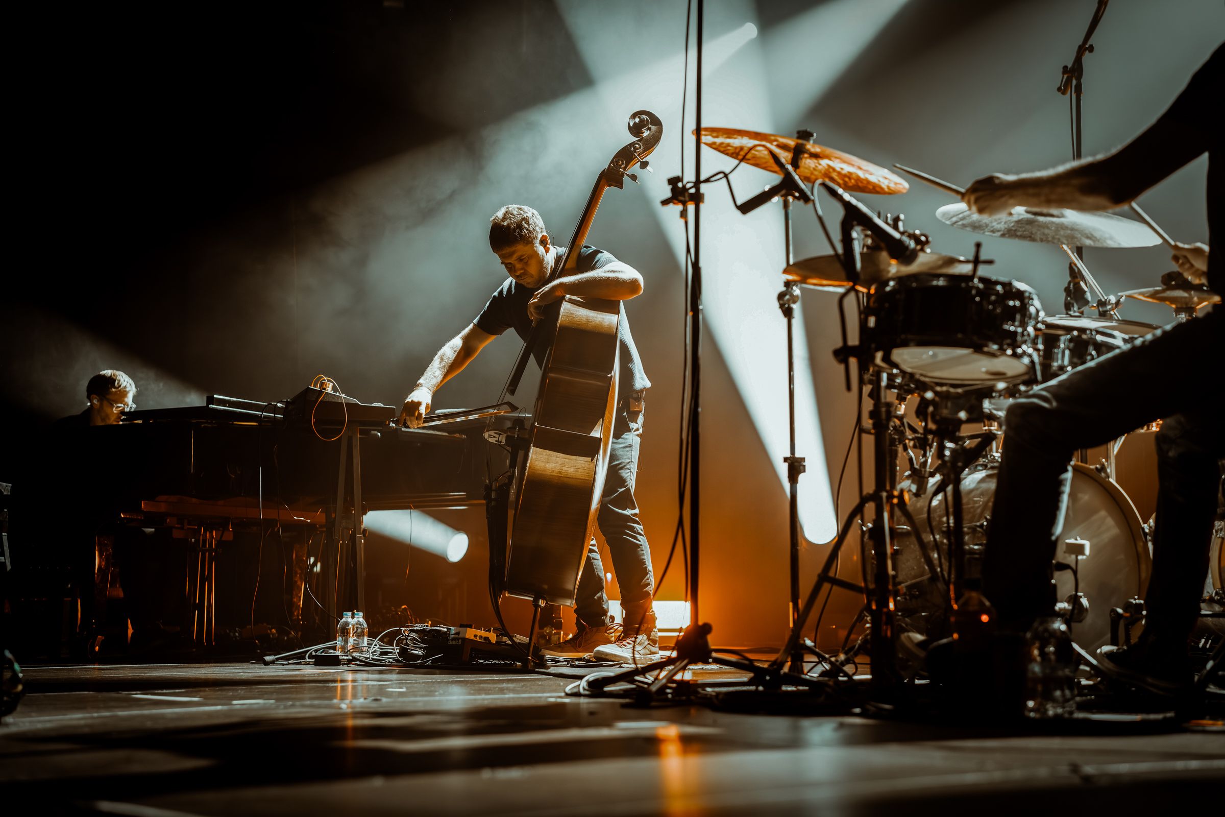 GoGo Penguin