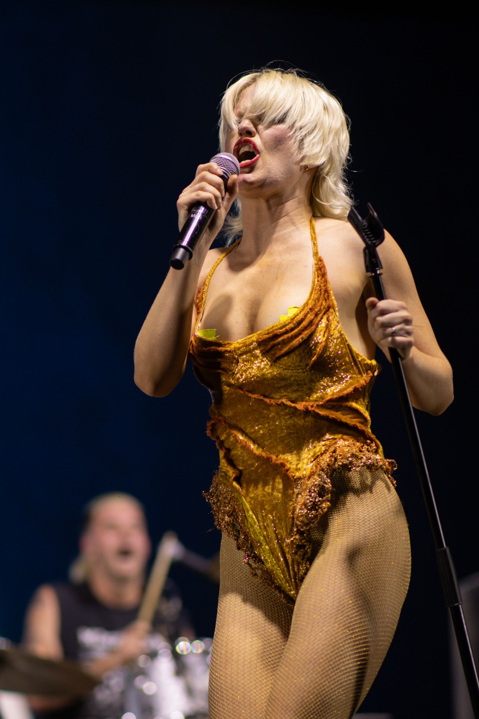 Amyl and the Sniffers
