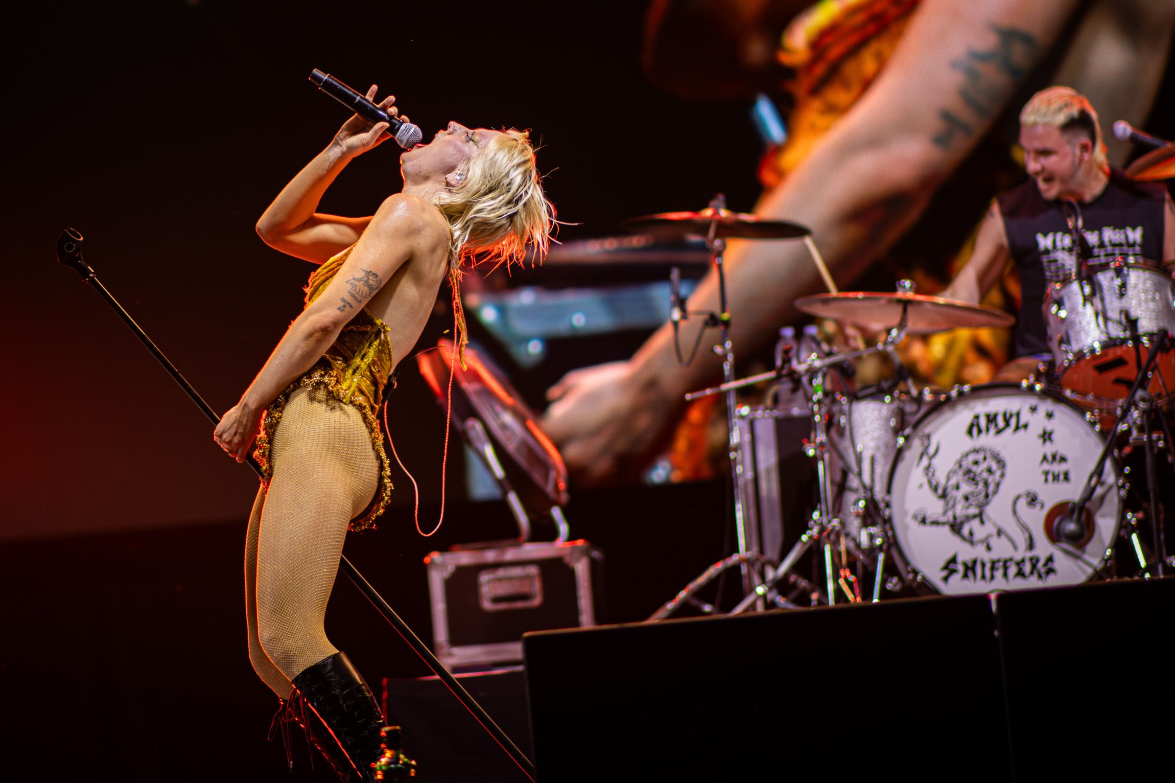Amyl and the Sniffers