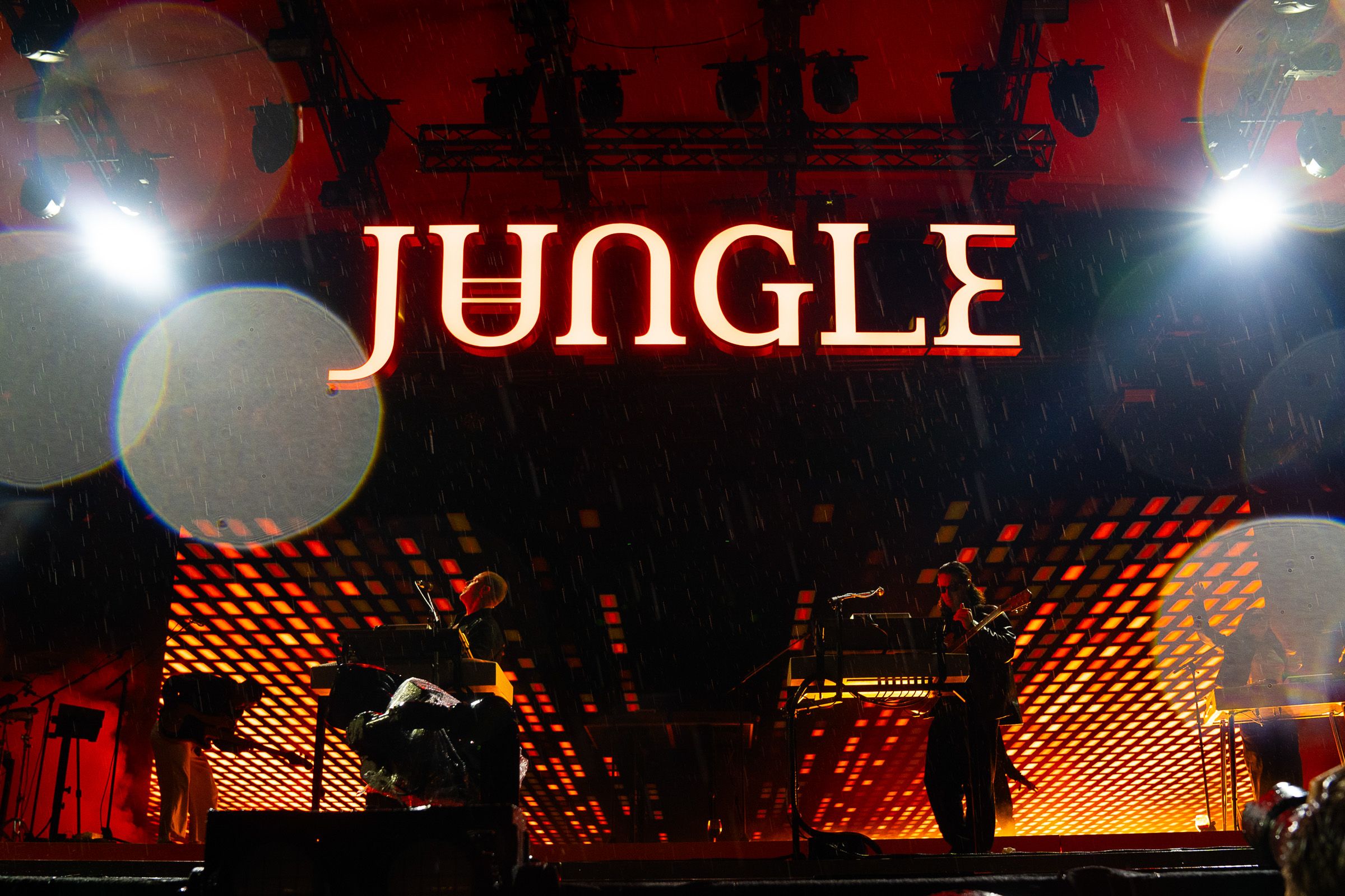 Jungle