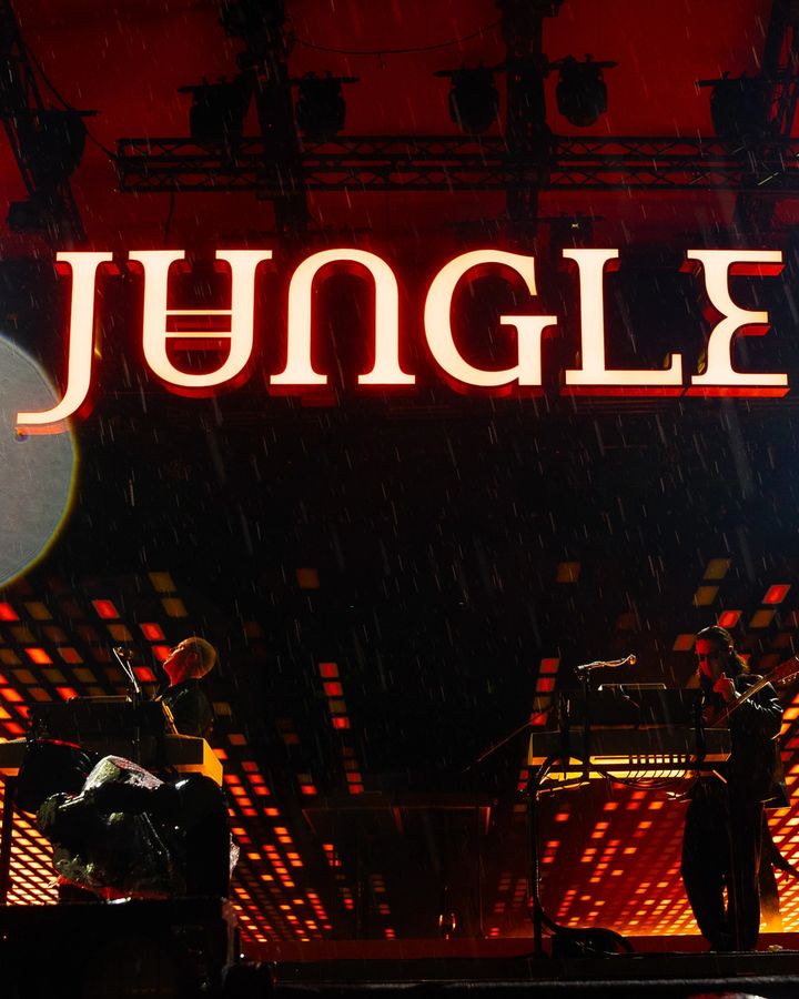 Jungle