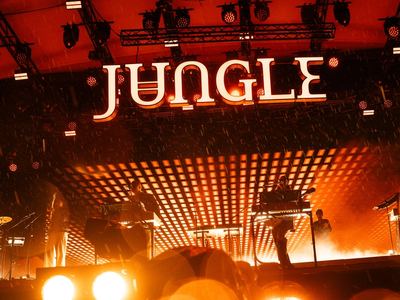The night my screen died: shooting Jungle in the rain